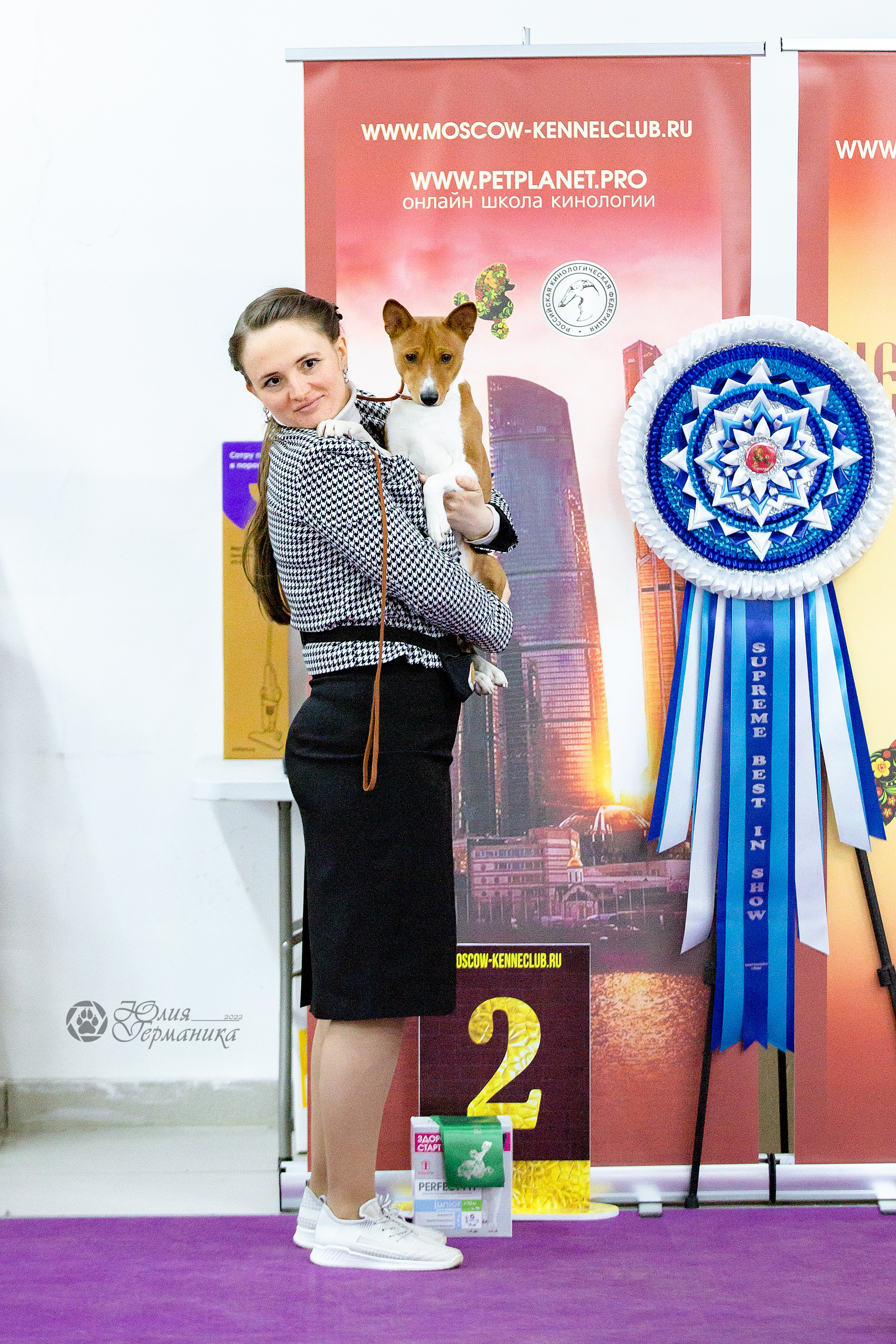 Чайна-Таун 24 и 27 марта 2022. Фотограф-анималист Юлия Германика