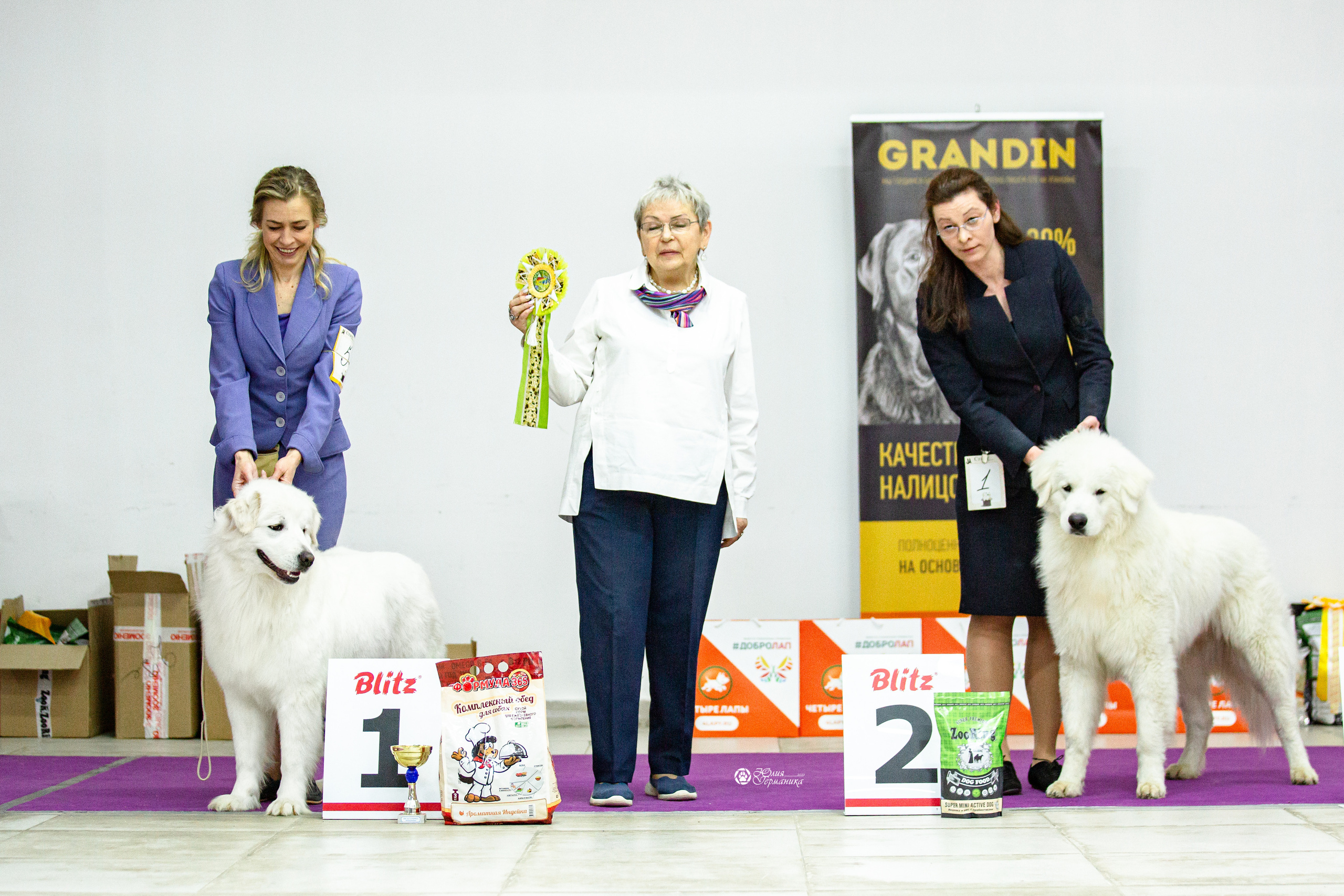 Чайна-Таун 29-30 января 2022. Фотограф-анималист Юлия Германика