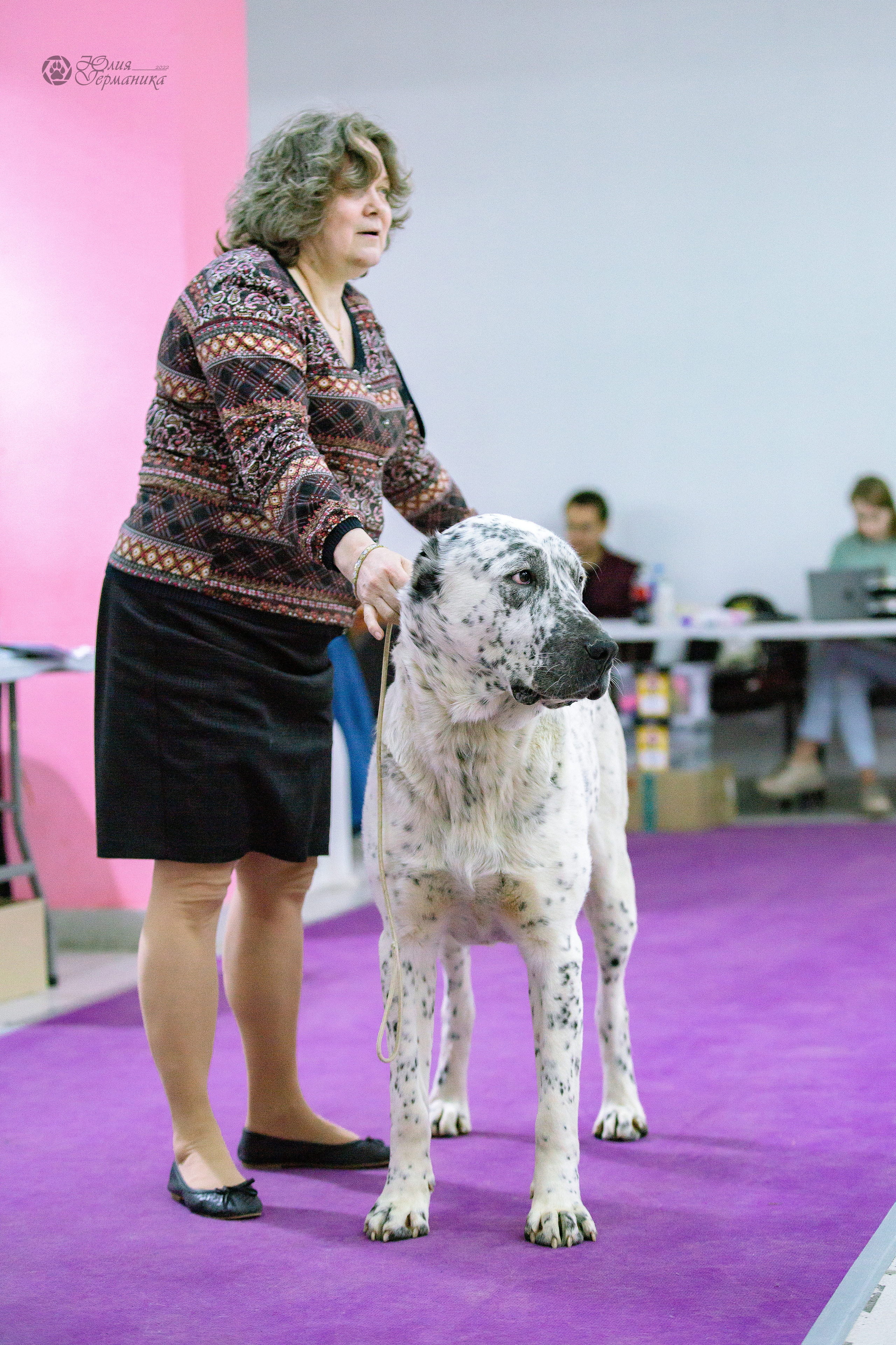 Чайна-Таун 24 и 27 марта 2022. Фотограф-анималист Юлия Германика