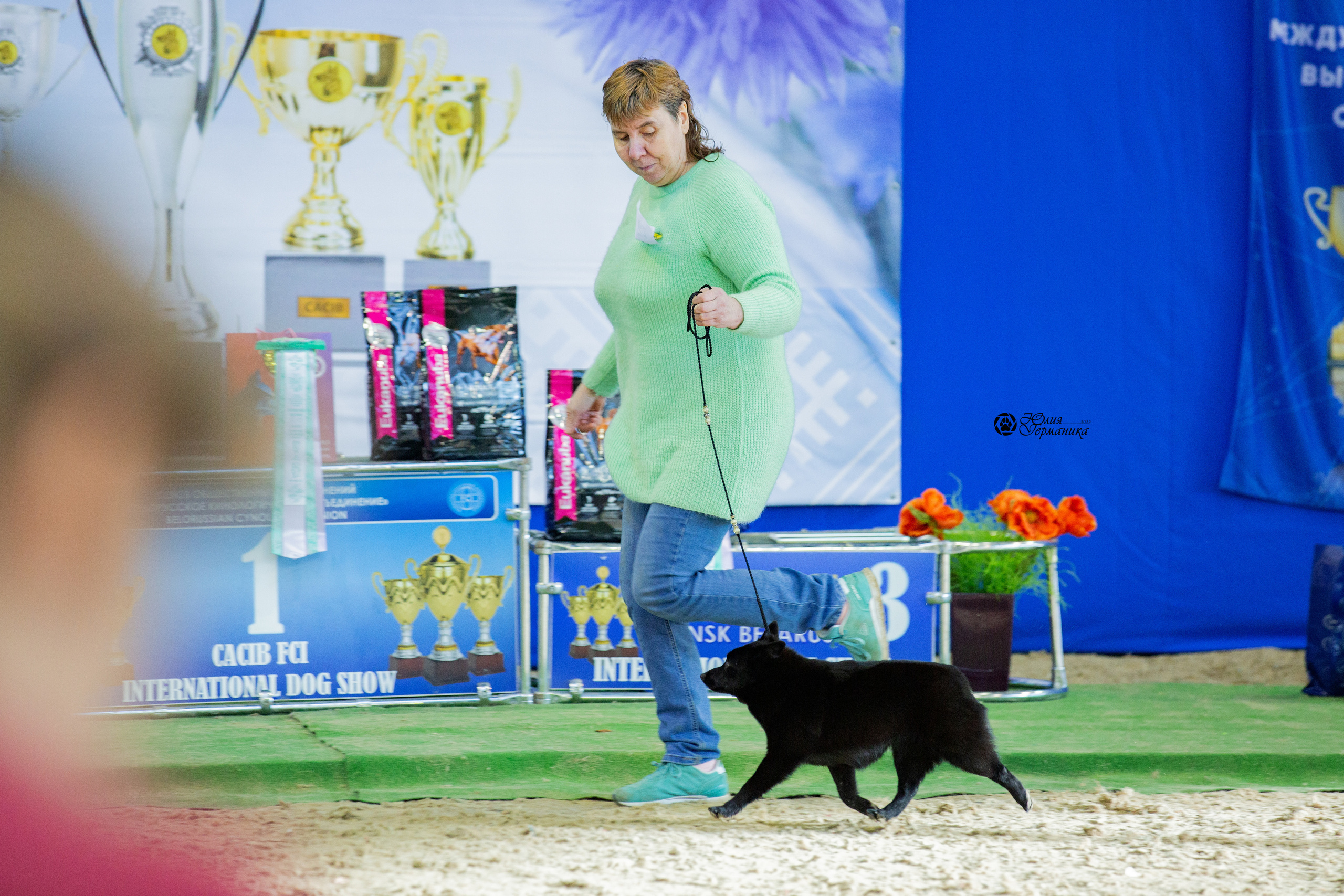 Минск 2хCACIB 5-6 марта 2022. Фотограф-анималист Юлия Германика