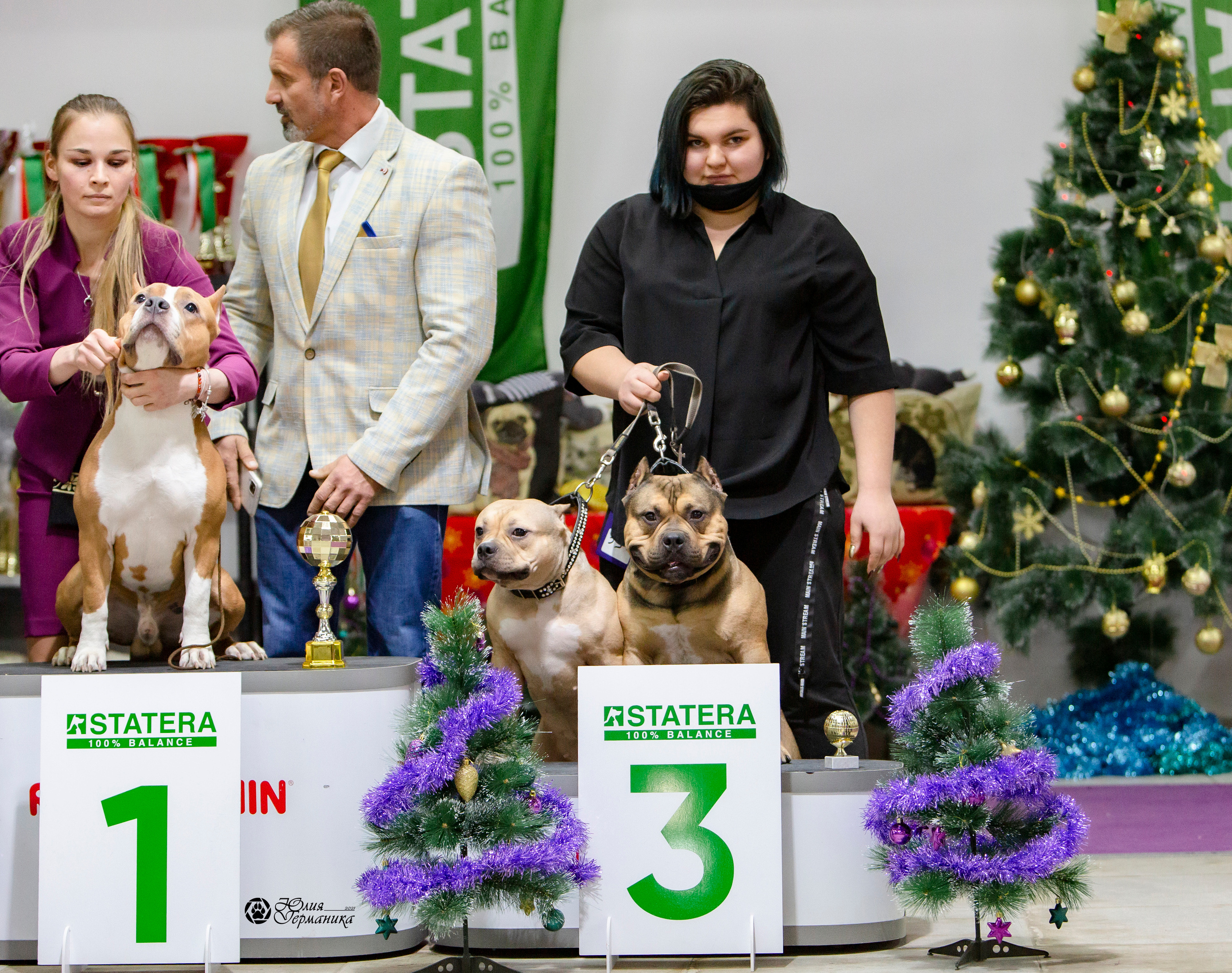 Чайна-Таун 18,26 и 29 декабря 2021. Фотограф-анималист Юлия Германика