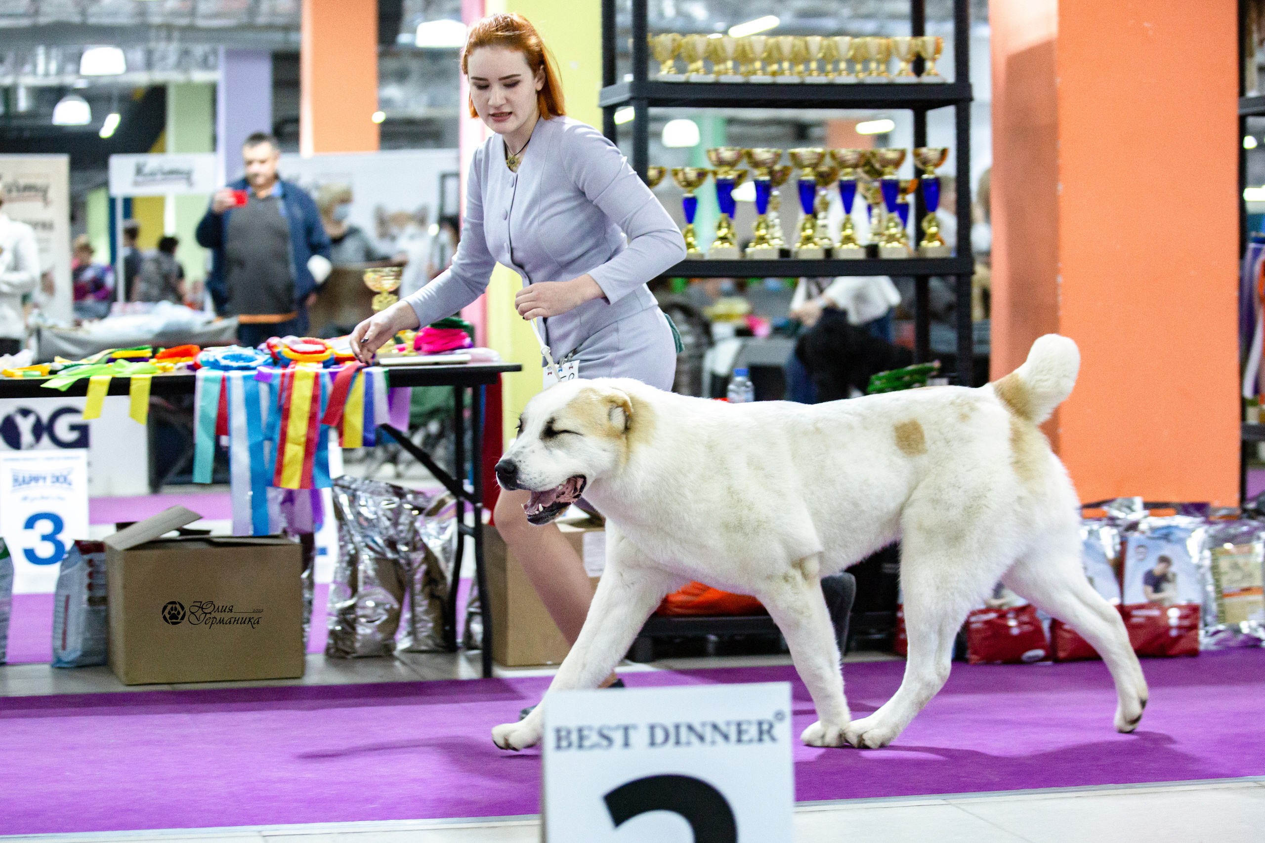 Чайна-Таун 12-13 февраля 2022. Фотограф-анималист Юлия Германика