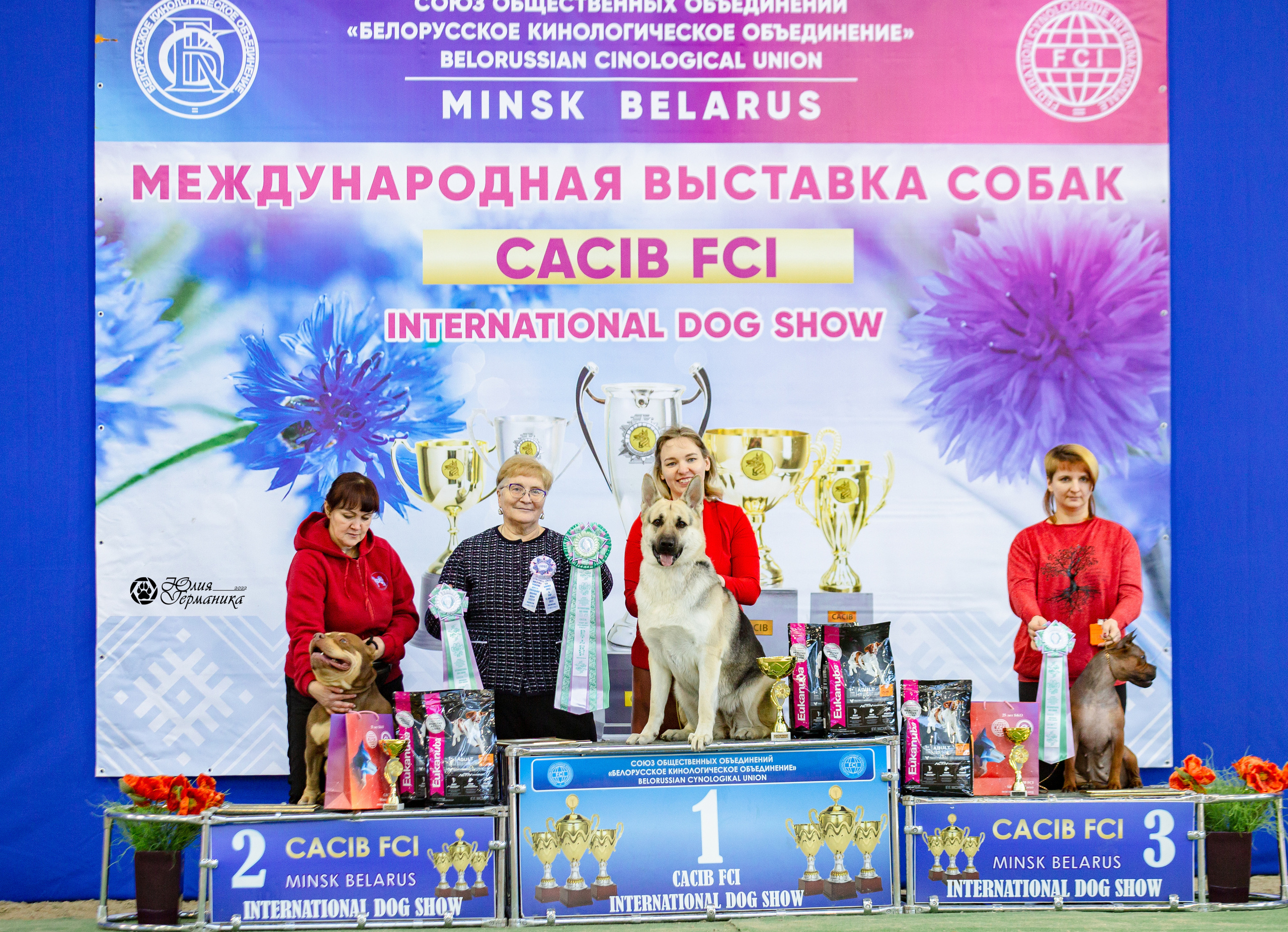 Минск 2хCACIB 5-6 марта 2022. Фотограф-анималист Юлия Германика