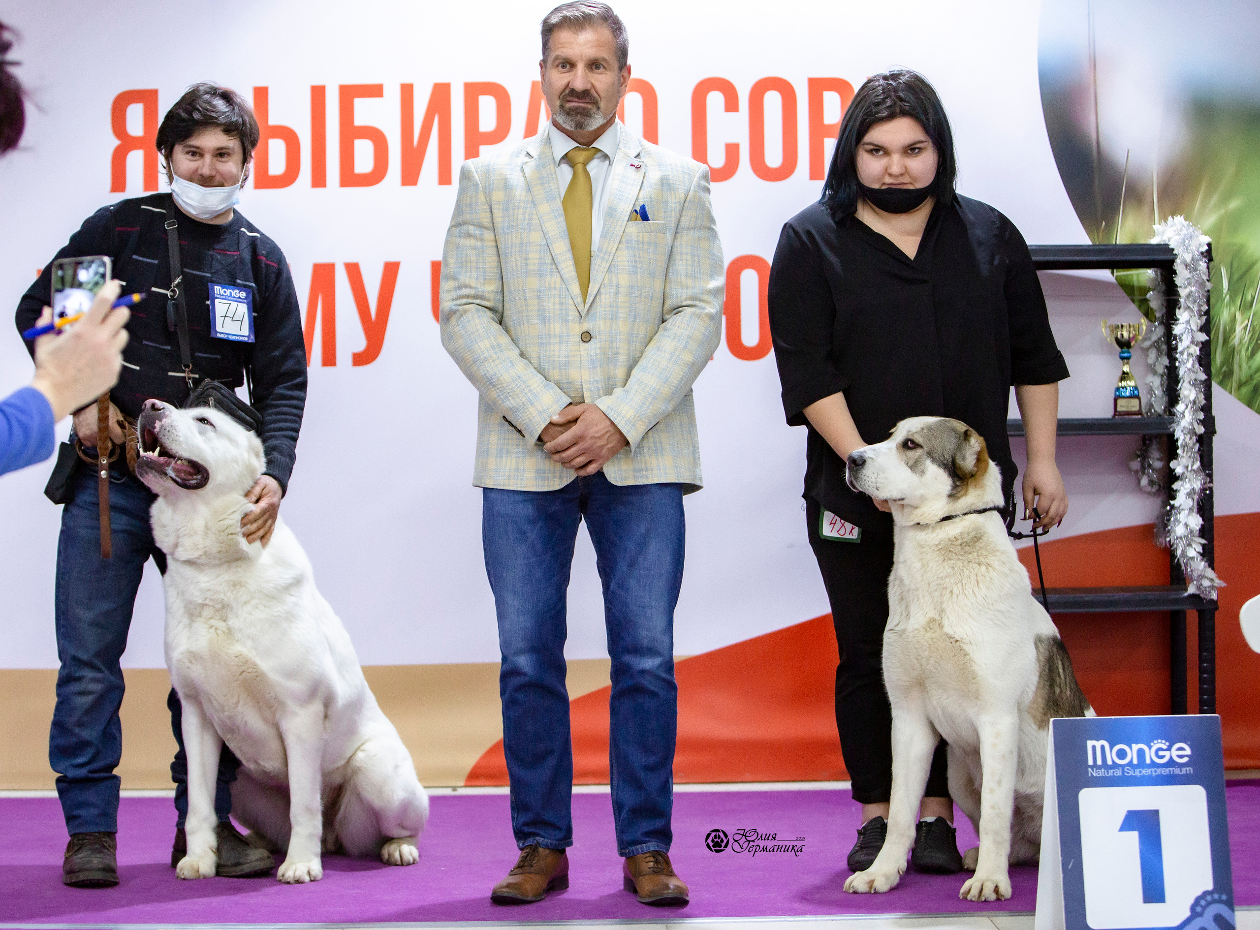 Чайна-Таун 18,26 и 29 декабря 2021. Фотограф-анималист Юлия Германика