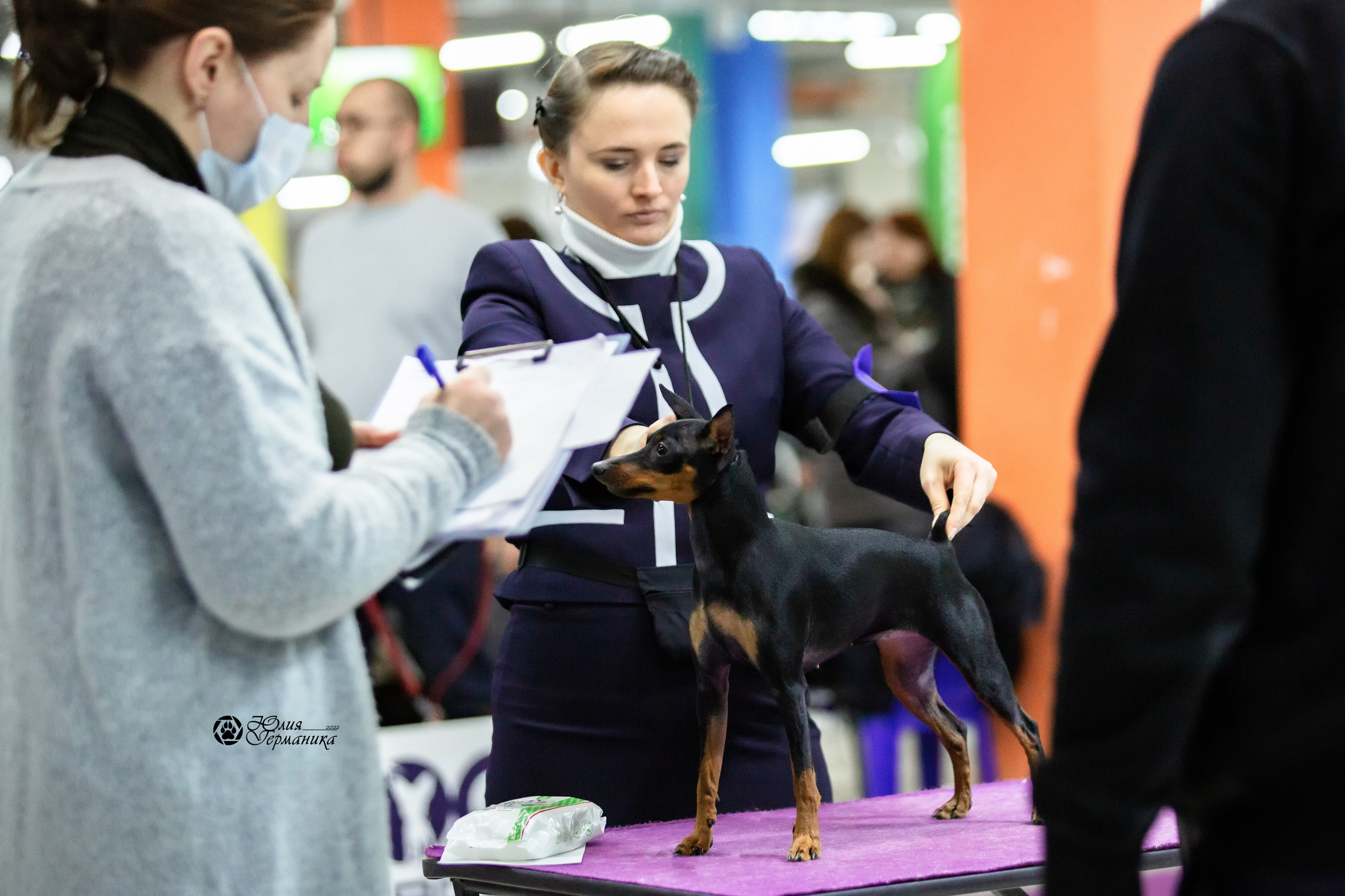 Чайна-Таун 23 февраля 2022. Фотограф-анималист Юлия Германика