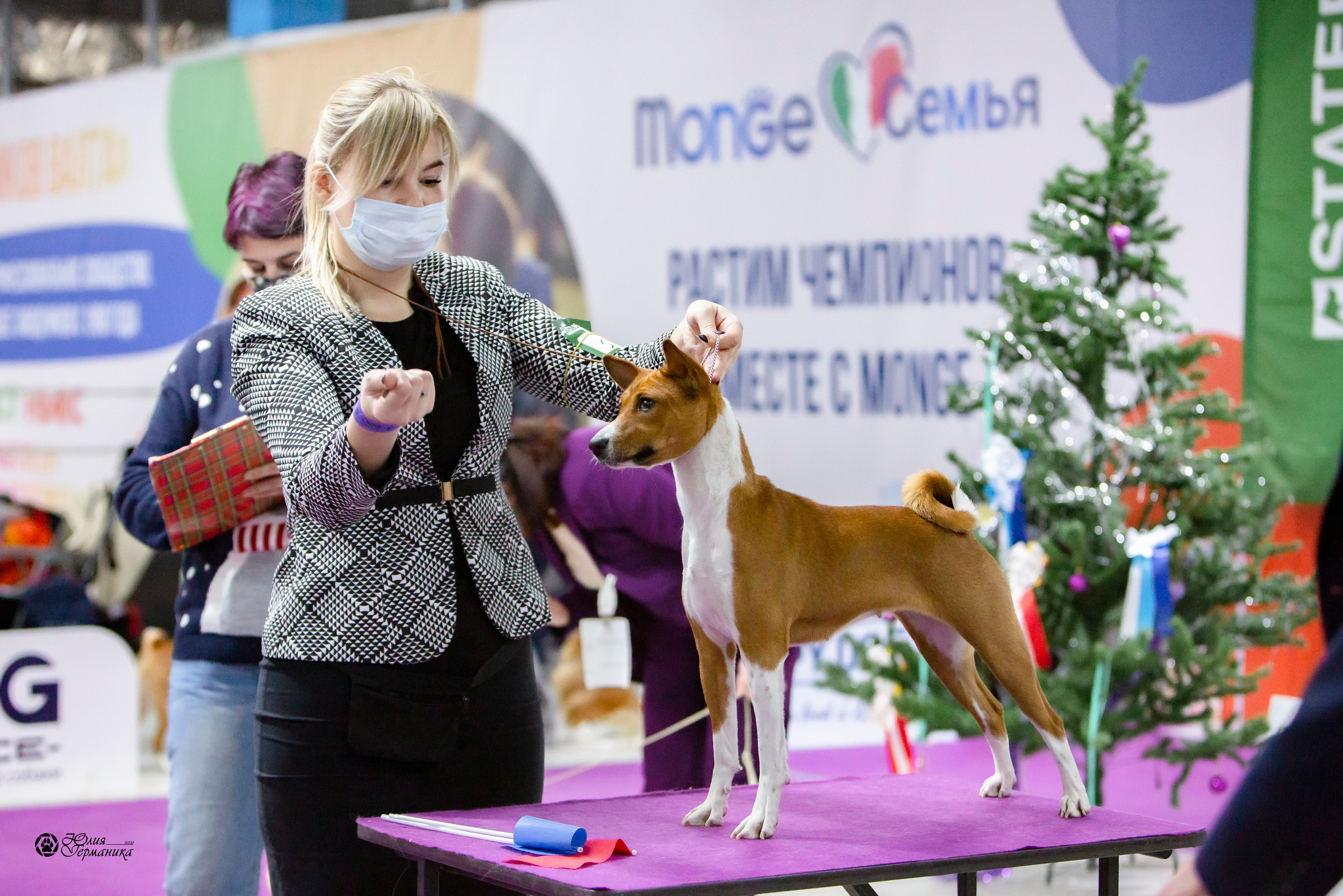 Чайна-Таун 18,26 и 29 декабря 2021. Фотограф-анималист Юлия Германика