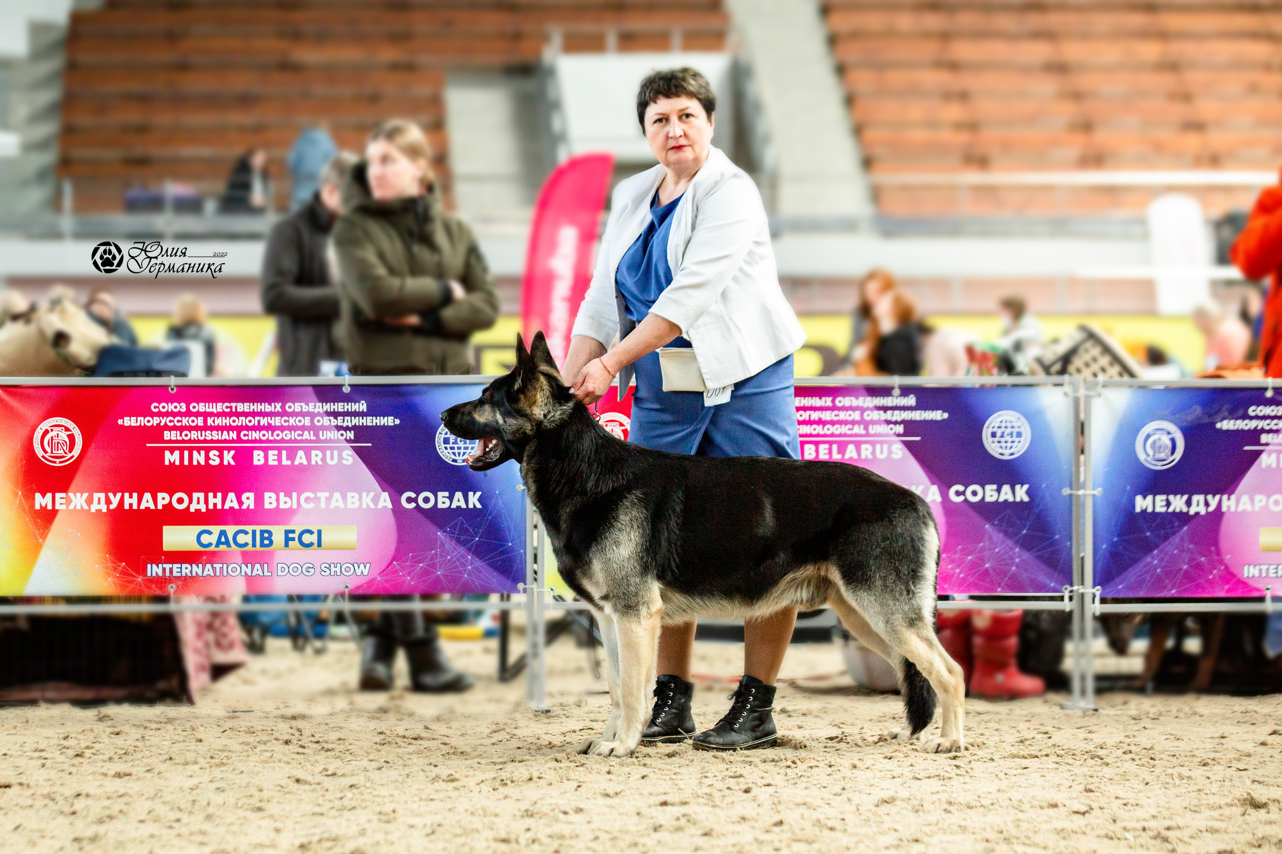 Минск 2хCACIB 5-6 марта 2022. Фотограф-анималист Юлия Германика