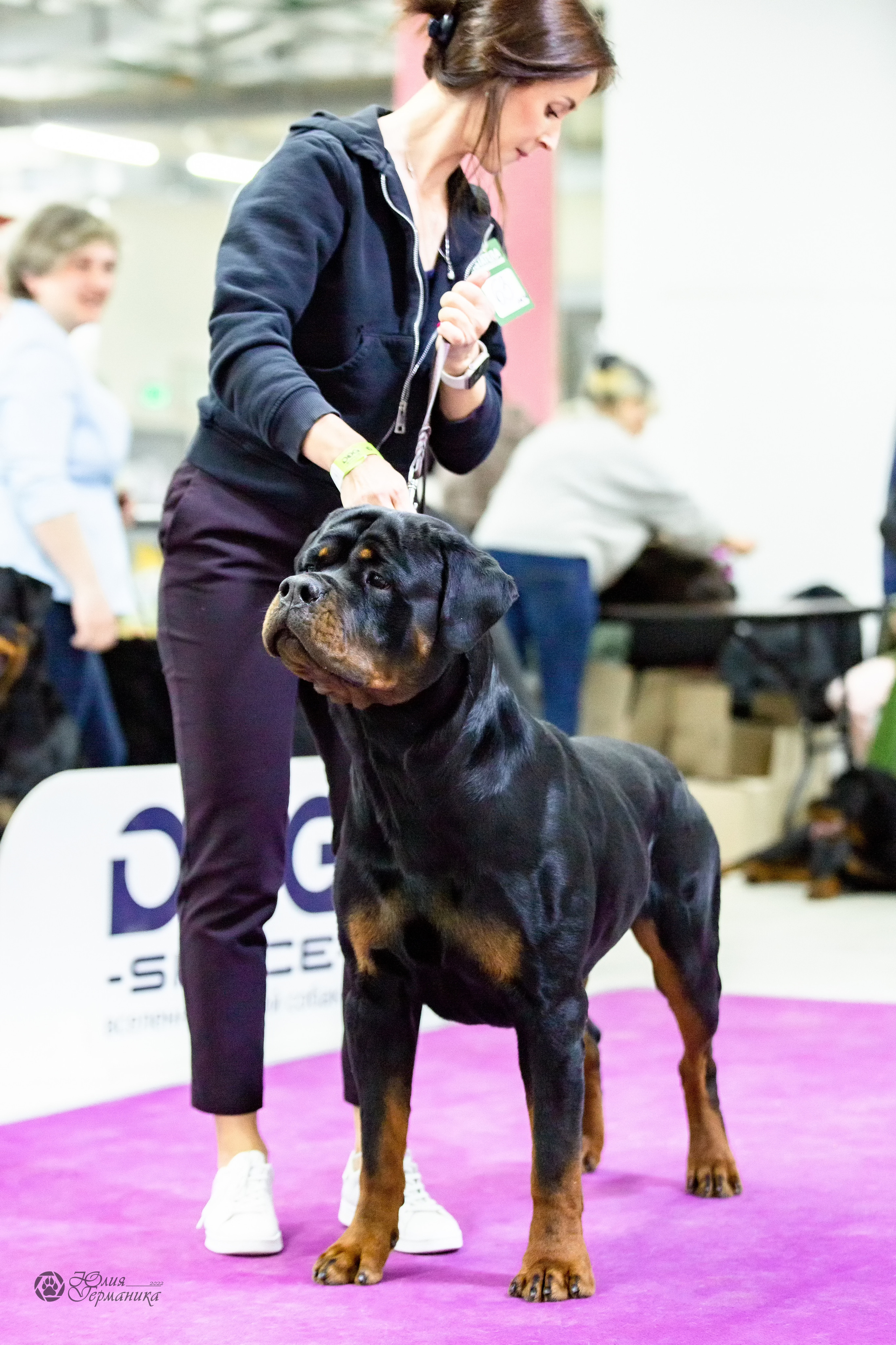 Чайна-Таун 13 и 20 марта 2022. Фотограф-анималист Юлия Германика