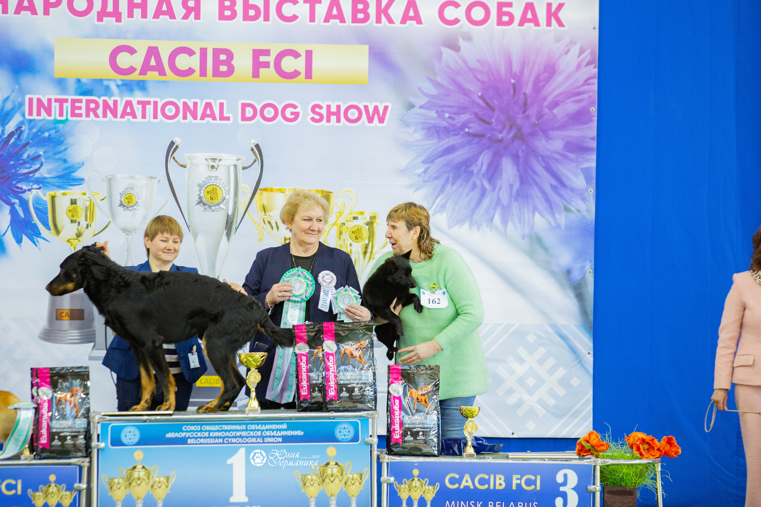 Минск 2хCACIB 5-6 марта 2022. Фотограф-анималист Юлия Германика