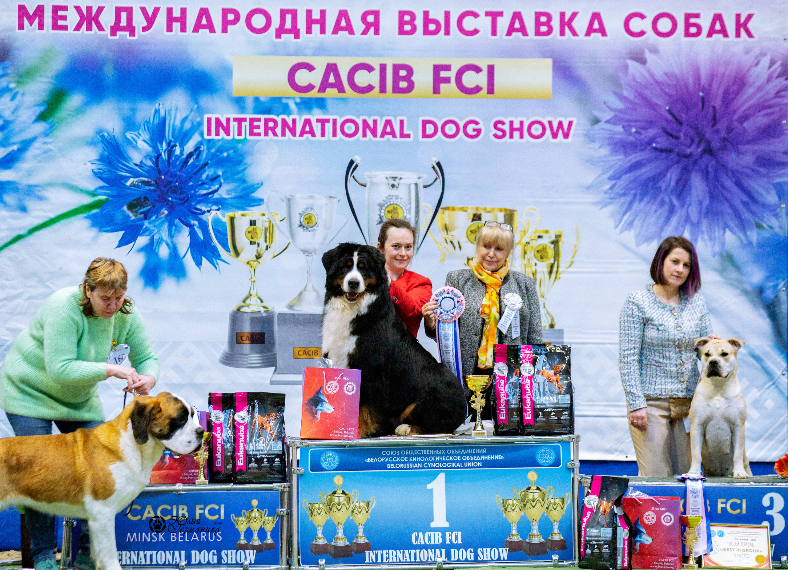 Минск 2хCACIB 5-6 марта 2022. Фотограф-анималист Юлия Германика