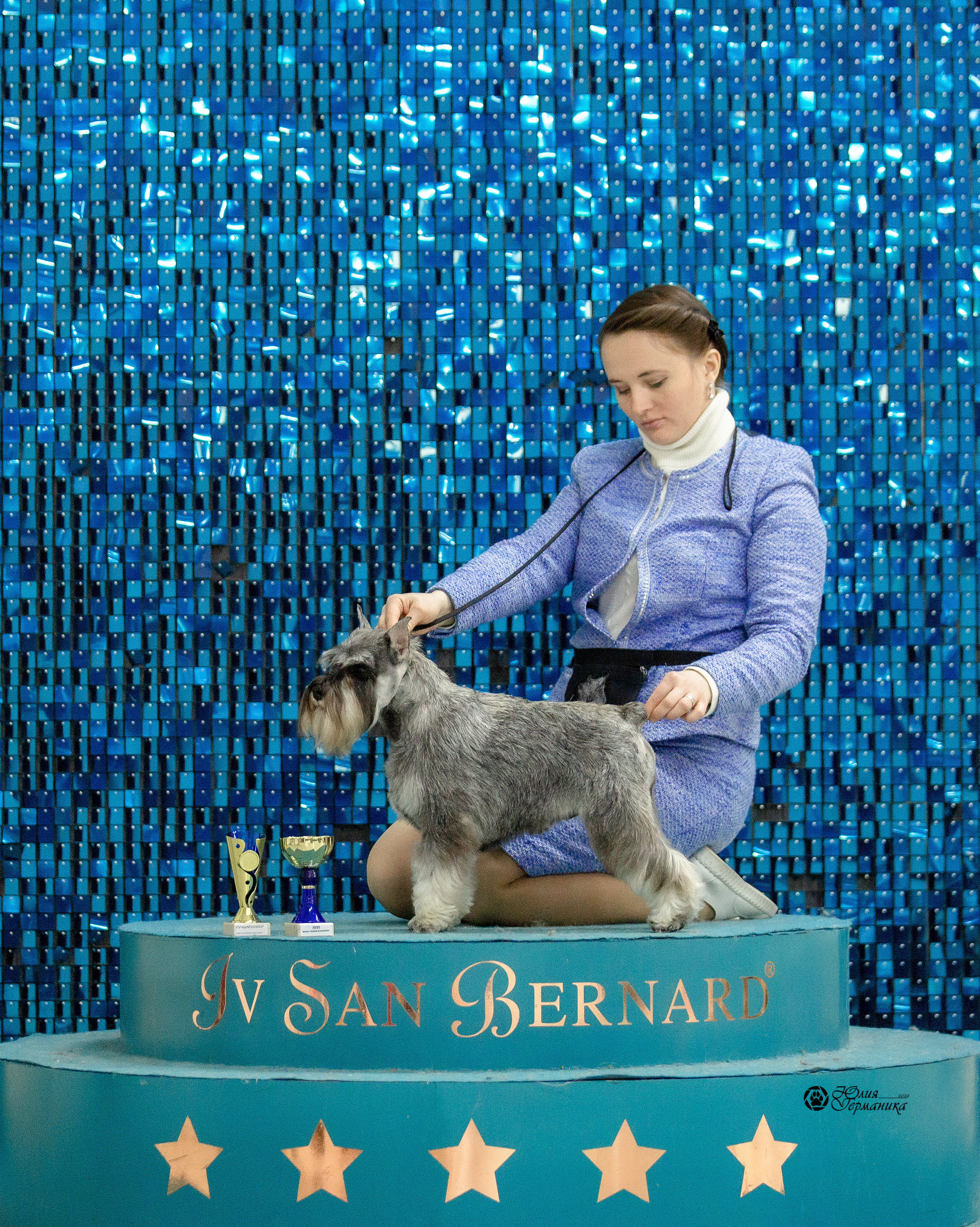 Чайна-Таун 29-30 января 2022. Фотограф-анималист Юлия Германика