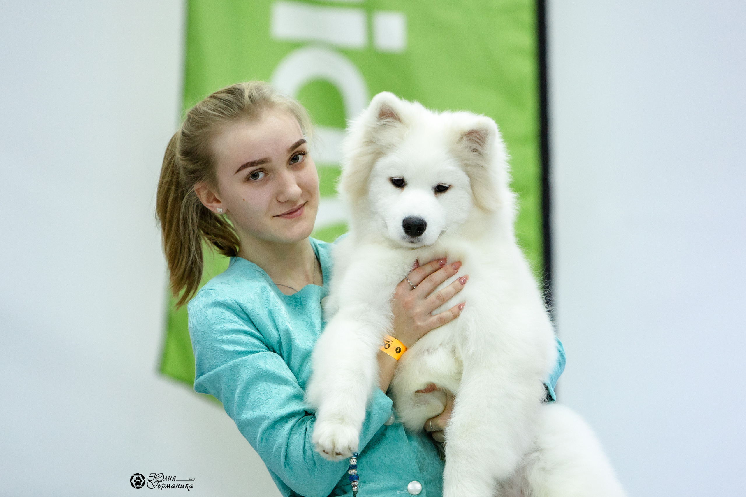 Чайна-Таун 18,26 и 29 декабря 2021. Фотограф-анималист Юлия Германика