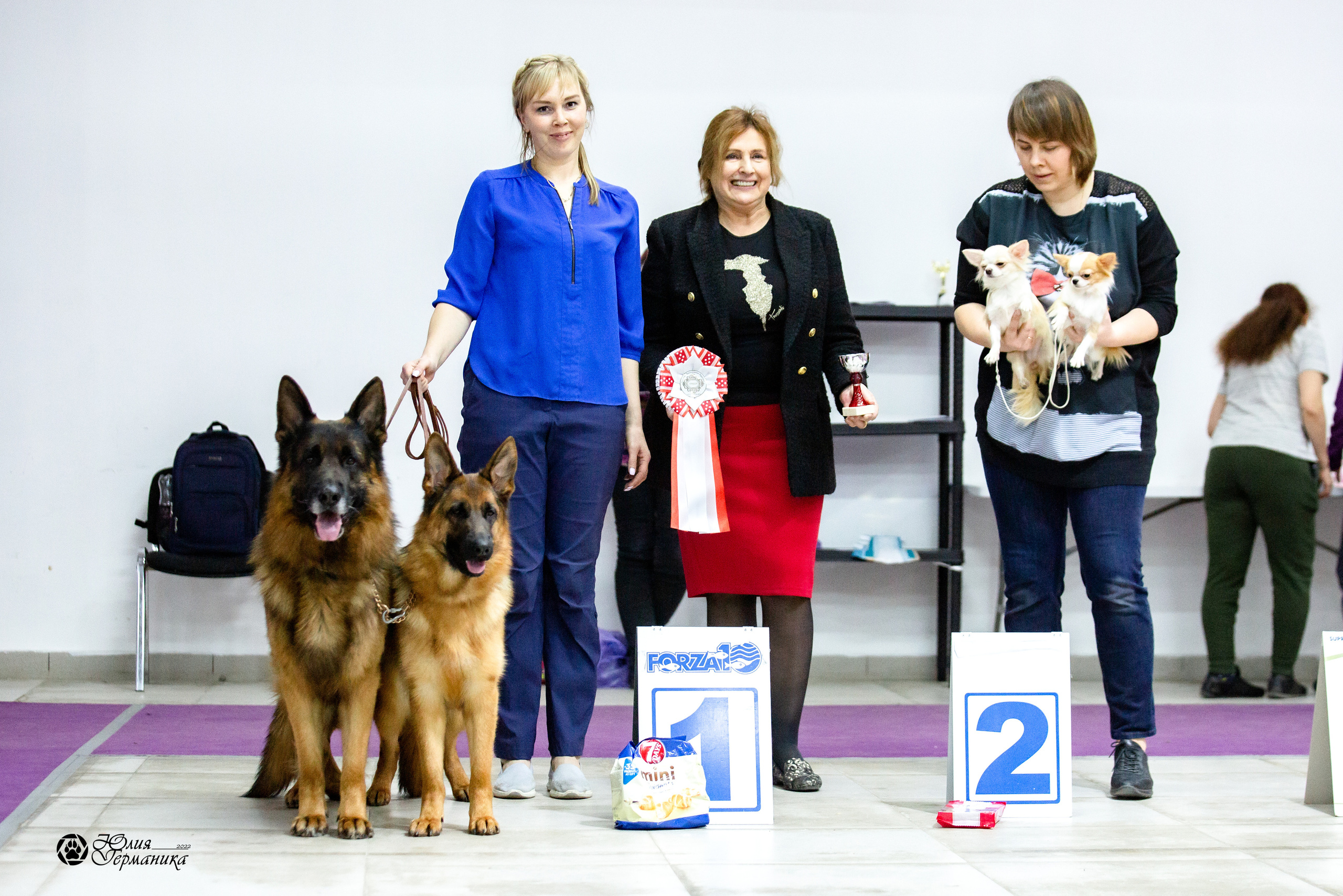 Чайна-Таун 12-13 февраля 2022. Фотограф-анималист Юлия Германика