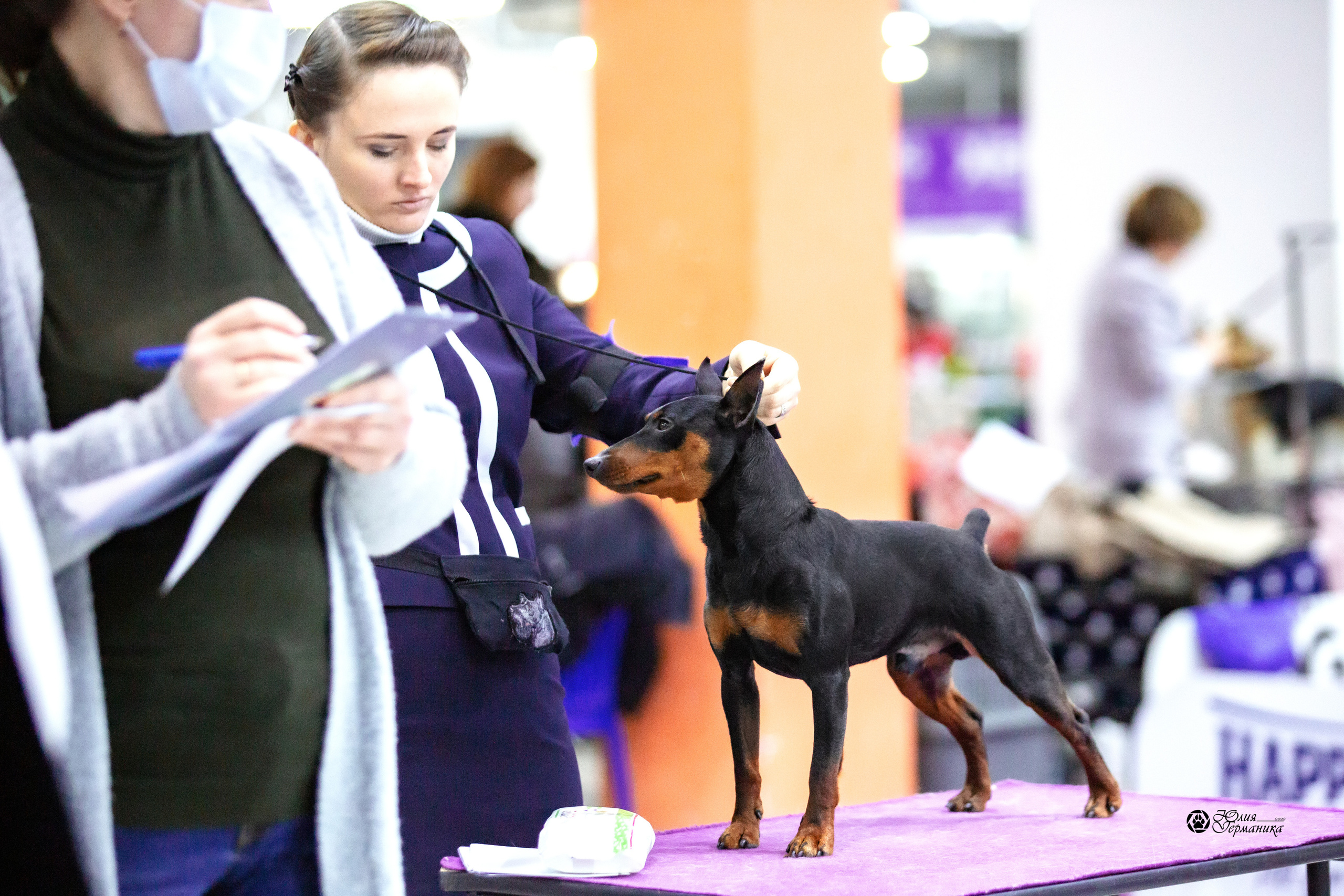 Чайна-Таун 23 февраля 2022. Фотограф-анималист Юлия Германика