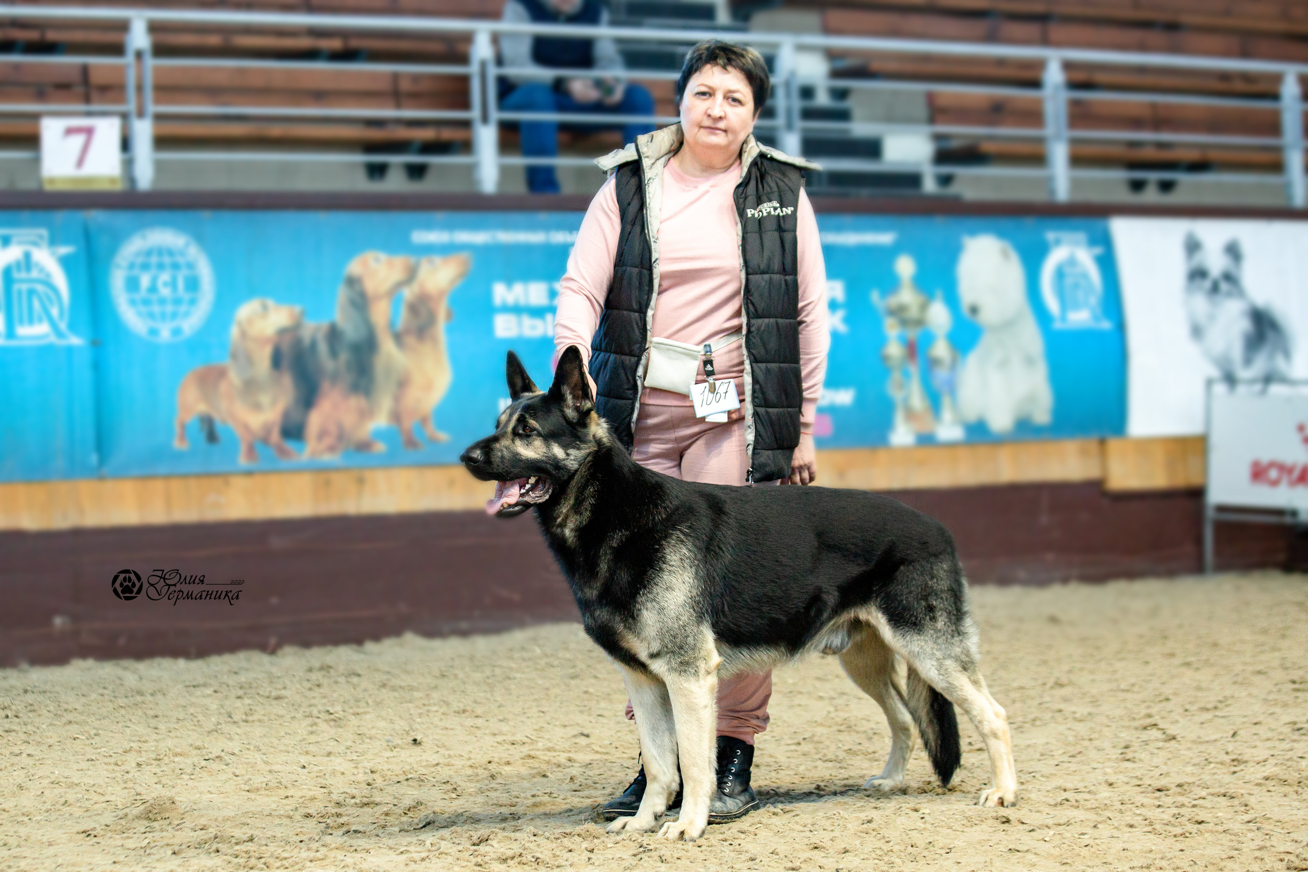 Минск 2хCACIB 5-6 марта 2022. Фотограф-анималист Юлия Германика