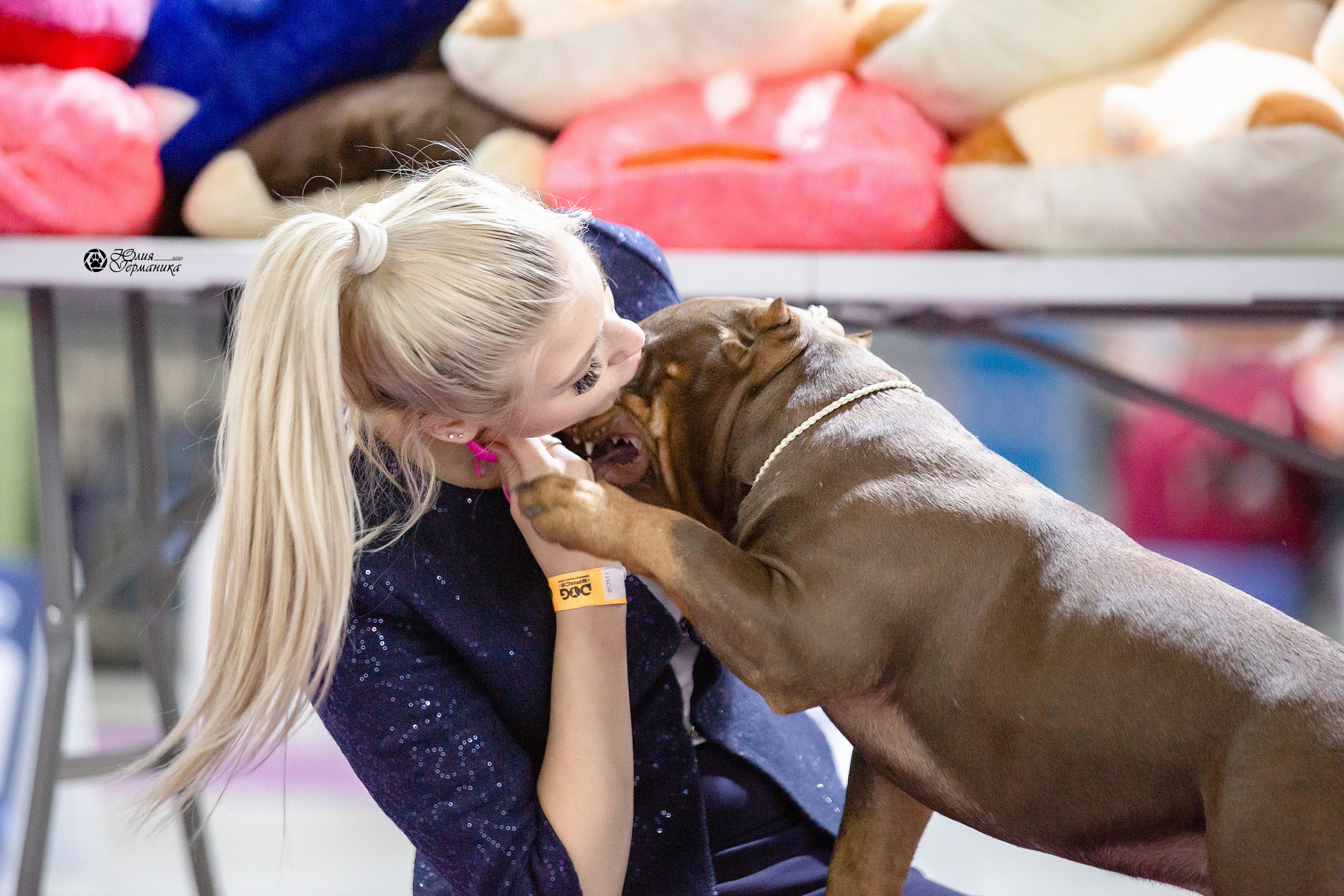 Чайна-Таун 29-30 января 2022. Фотограф-анималист Юлия Германика