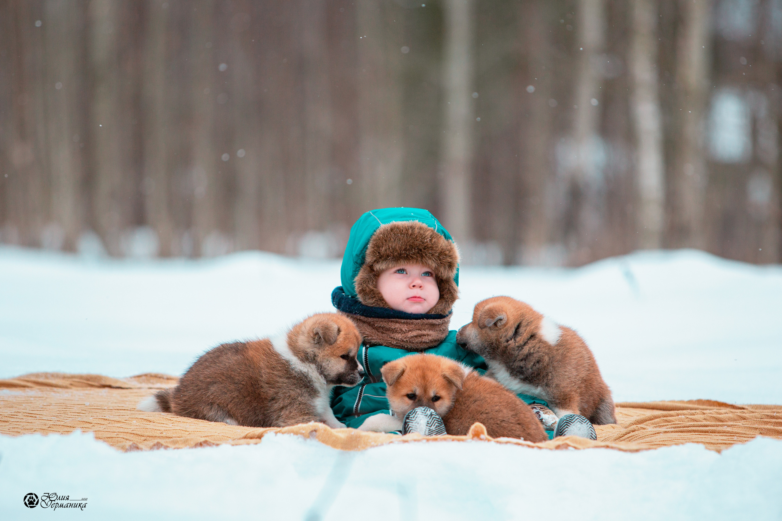 Свободная съемка. Фотограф-анималист Юлия Германика