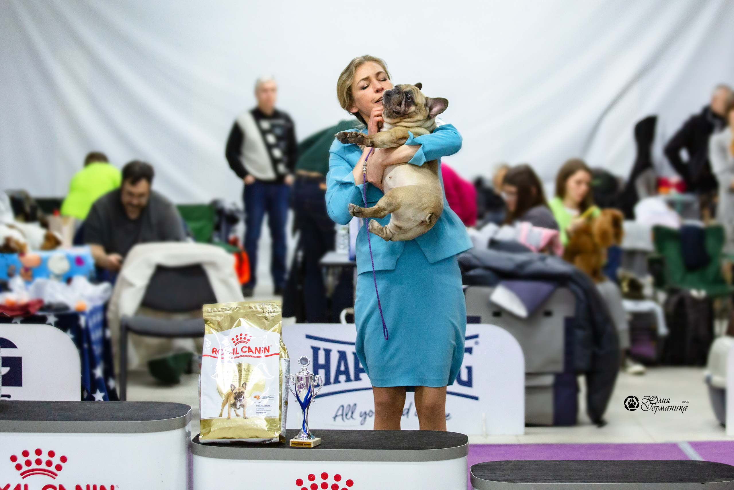 Чайна-Таун 27 февраля 2022. Фотограф-анималист Юлия Германика