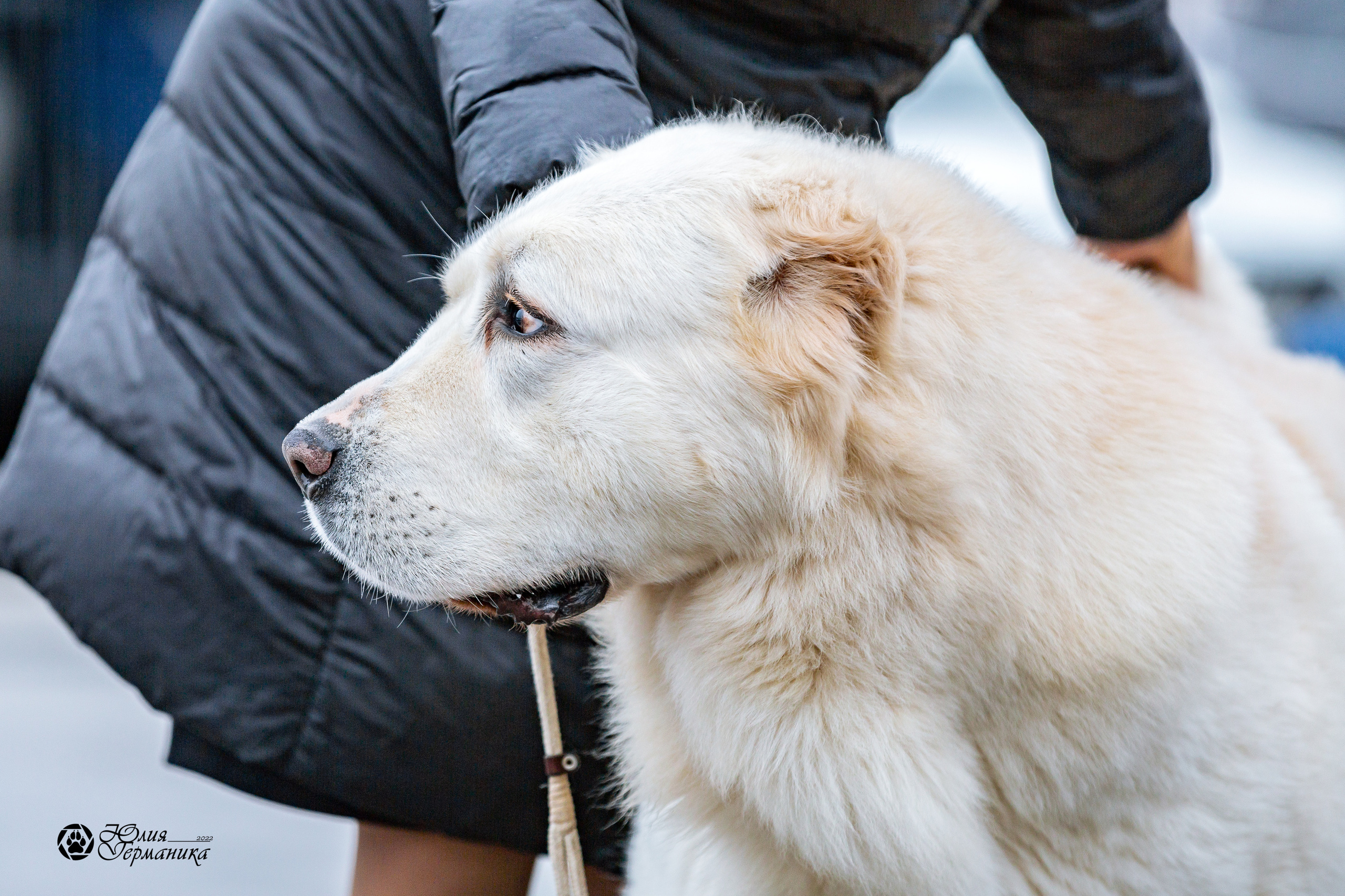 2хМОНО САО Рязань 02 апреля 2022. Фотограф-анималист Юлия Германика