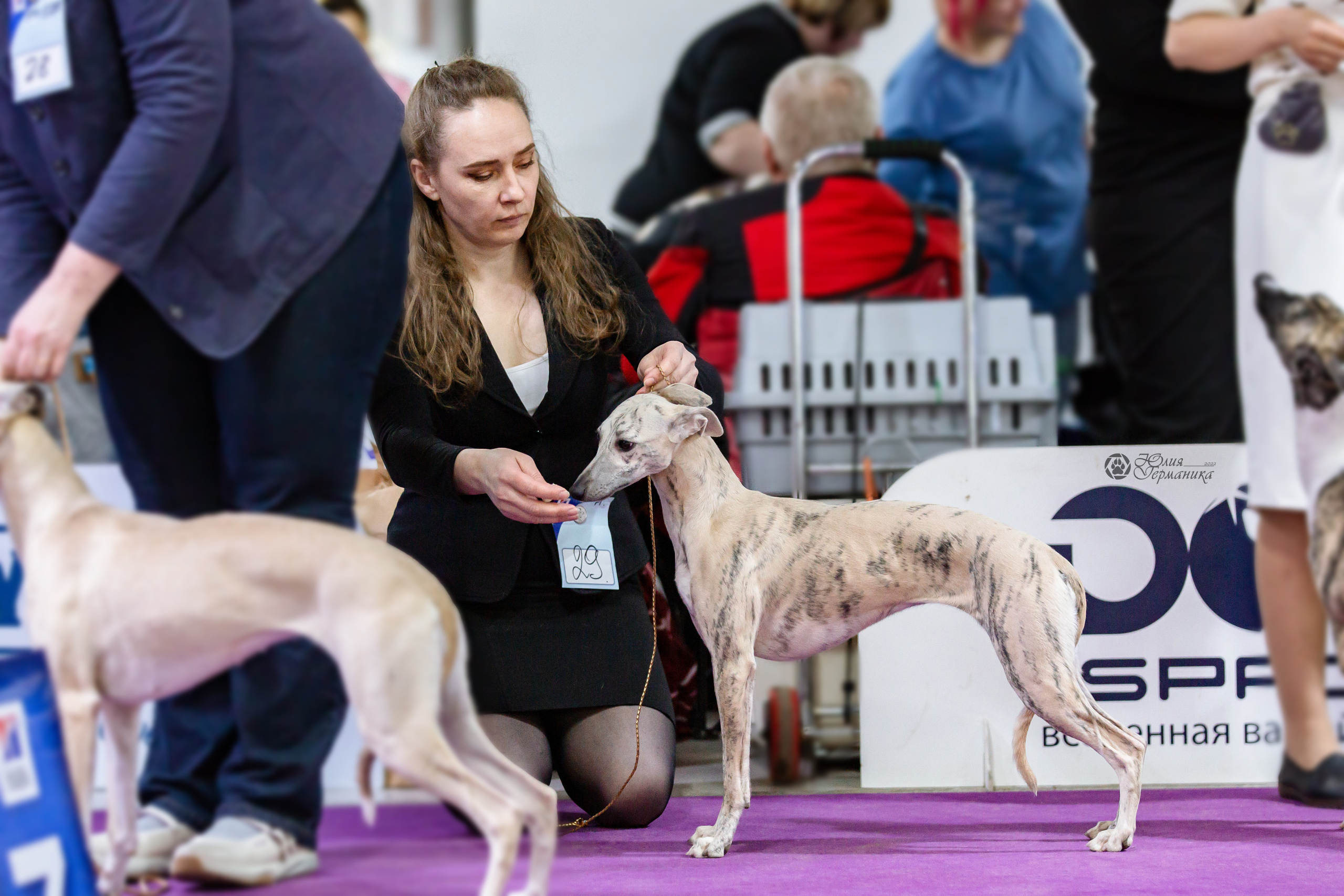 Чайна-Таун 24 и 27 марта 2022. Фотограф-анималист Юлия Германика