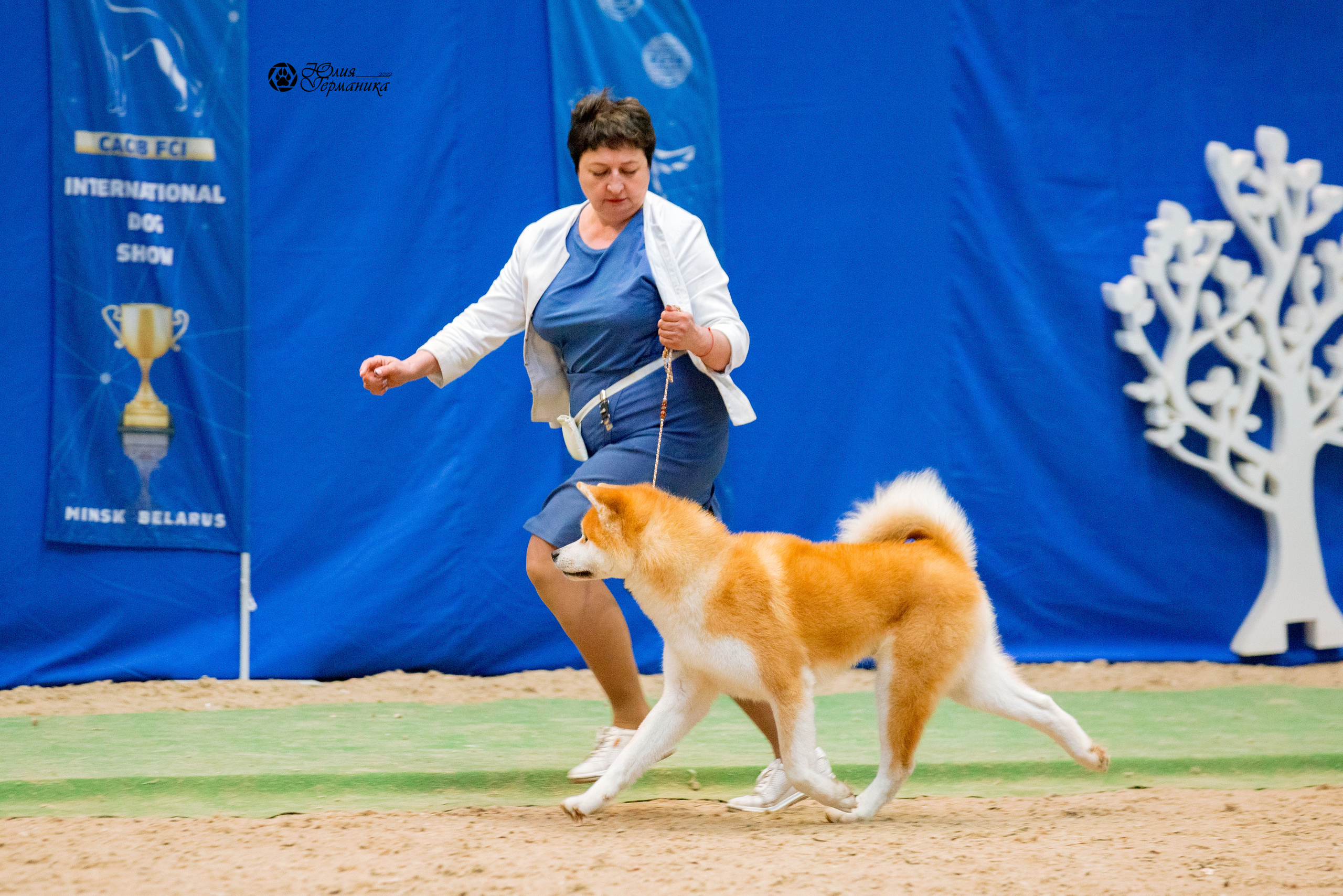 Минск 2хCACIB 5-6 марта 2022. Фотограф-анималист Юлия Германика