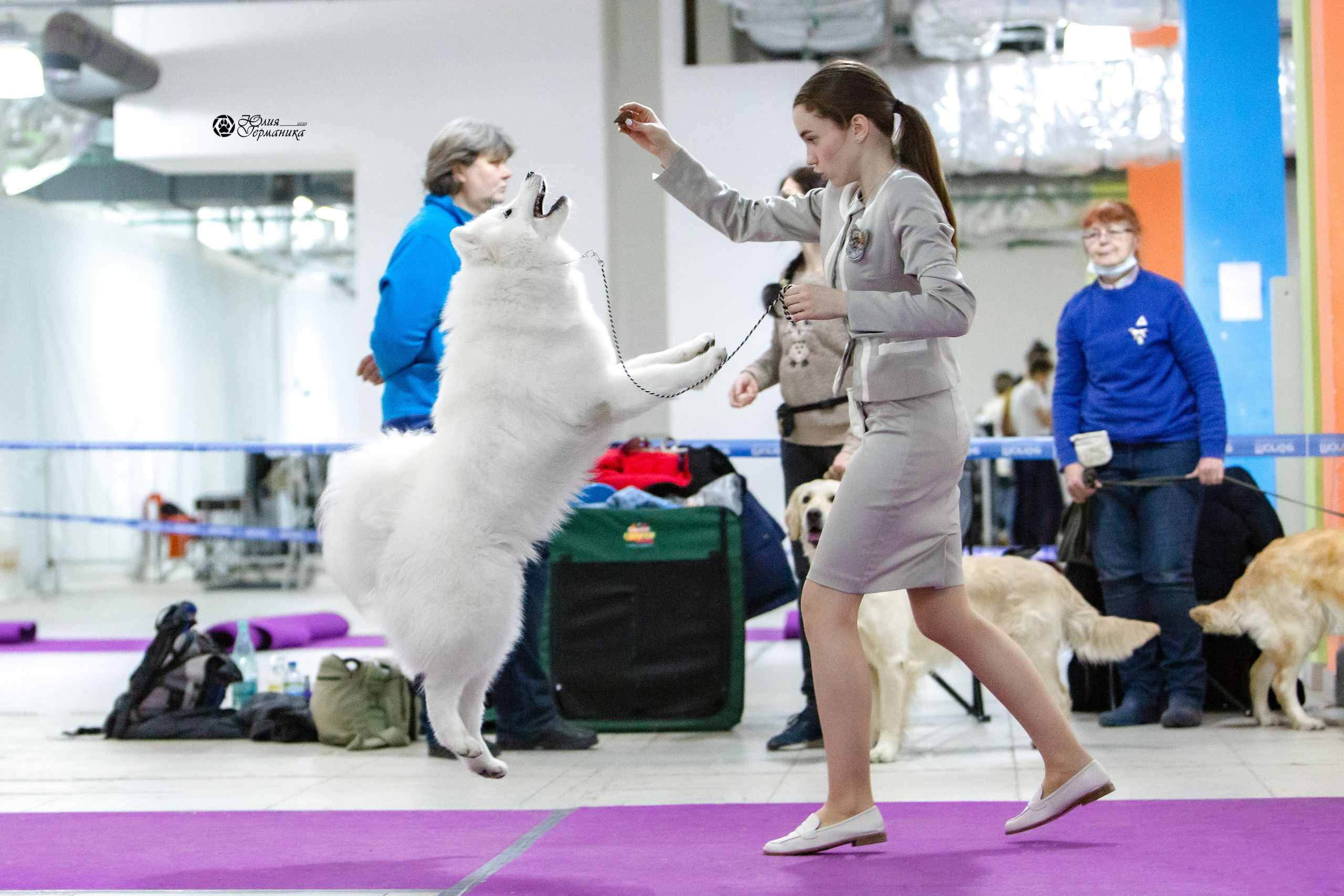 Чайна-Таун 8 января 2022. Фотограф-анималист Юлия Германика