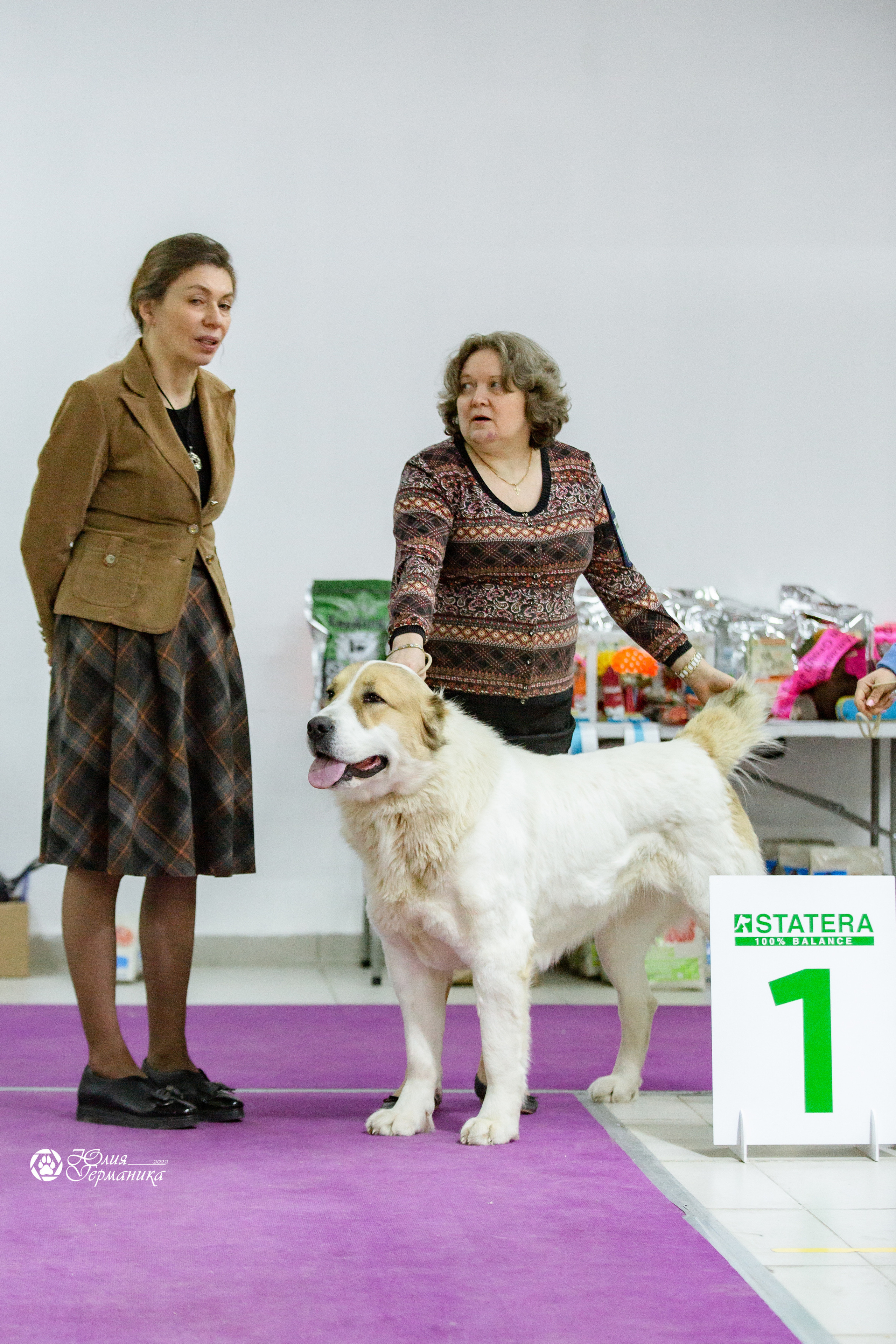 Чайна-Таун 13 и 20 марта 2022. Фотограф-анималист Юлия Германика