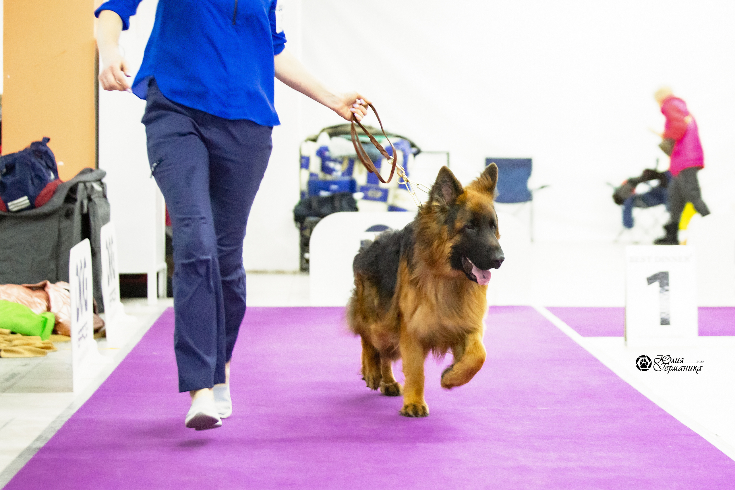 Чайна-Таун 12-13 февраля 2022. Фотограф-анималист Юлия Германика