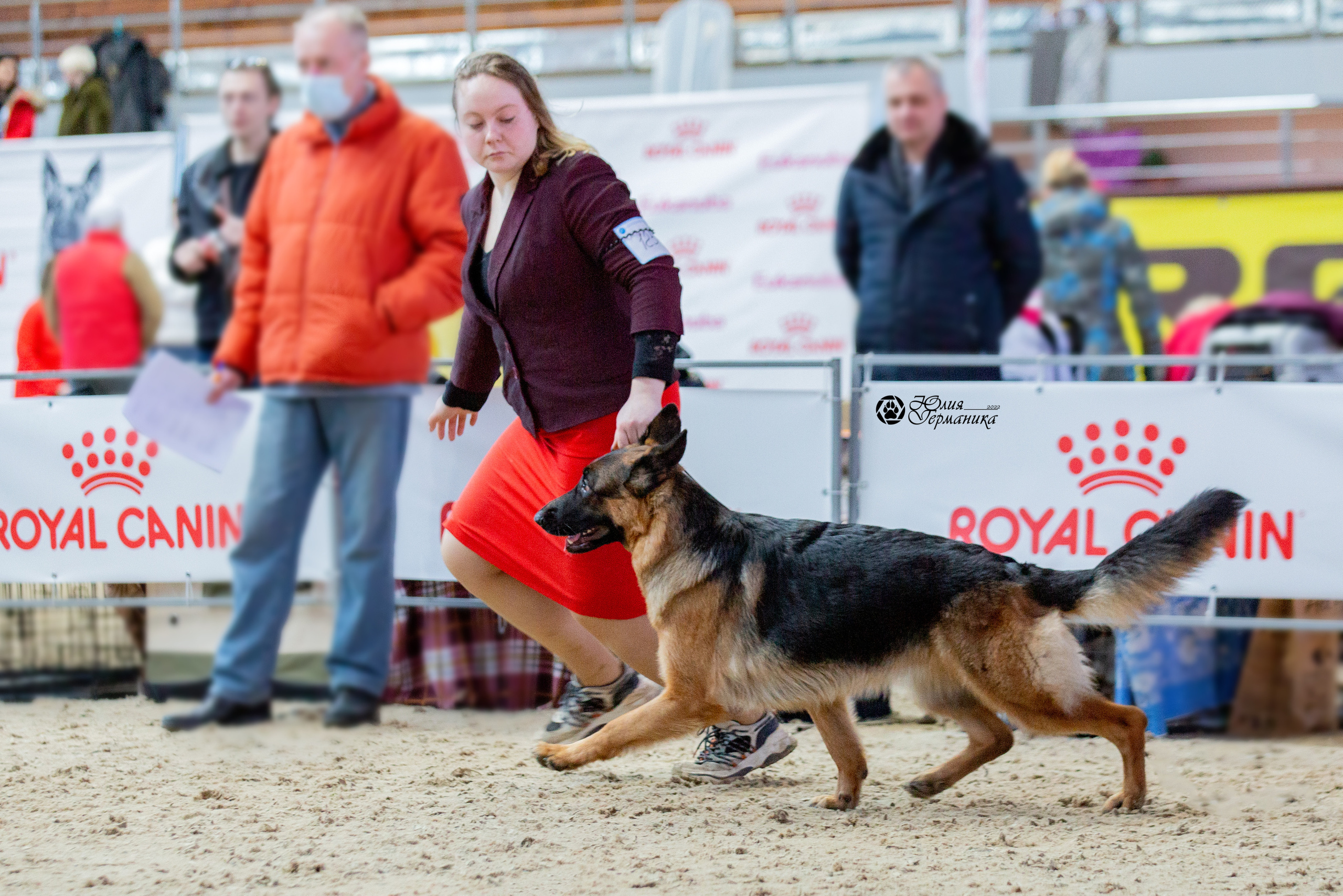 Минск 2хCACIB 5-6 марта 2022. Фотограф-анималист Юлия Германика