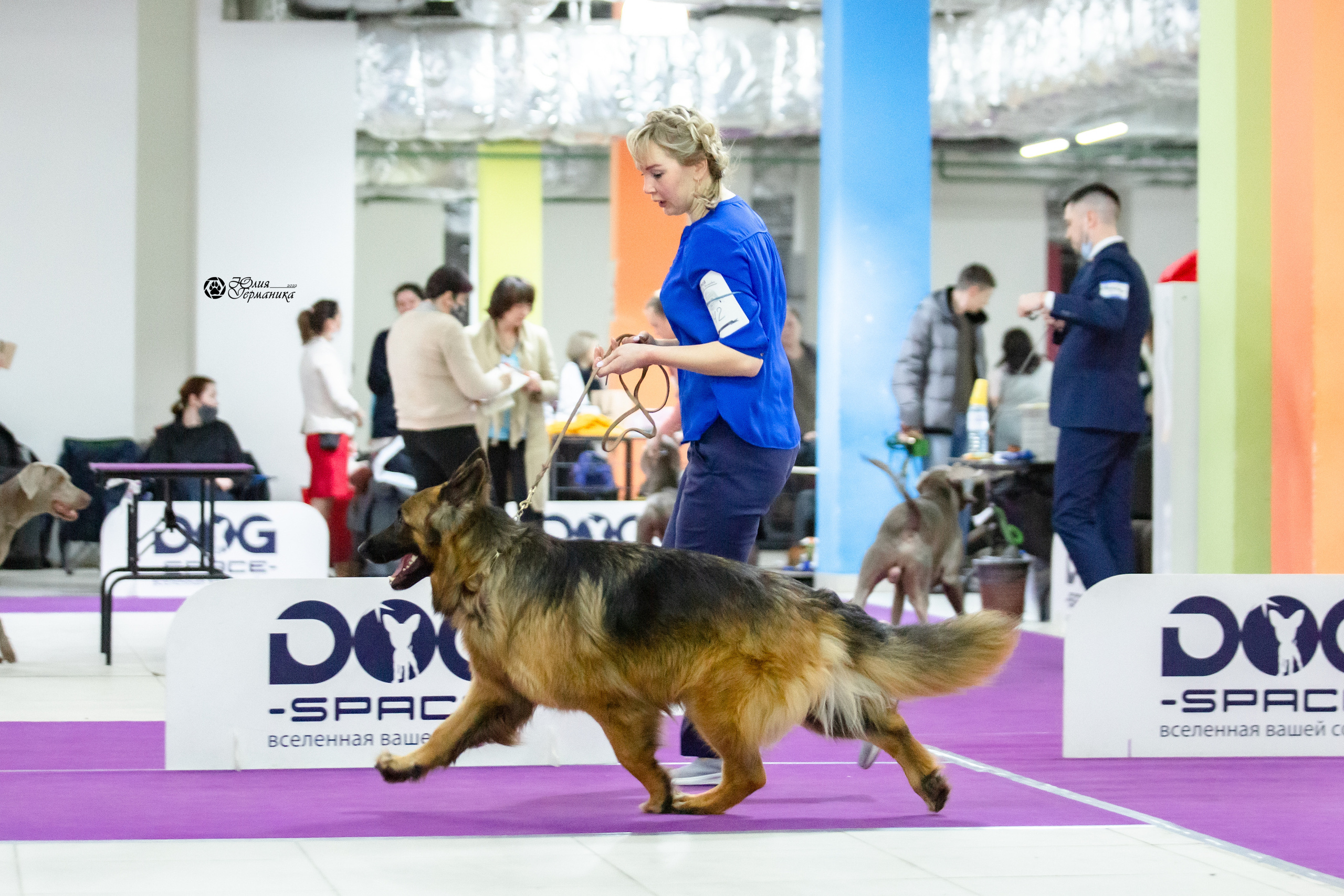 Чайна-Таун 12-13 февраля 2022. Фотограф-анималист Юлия Германика