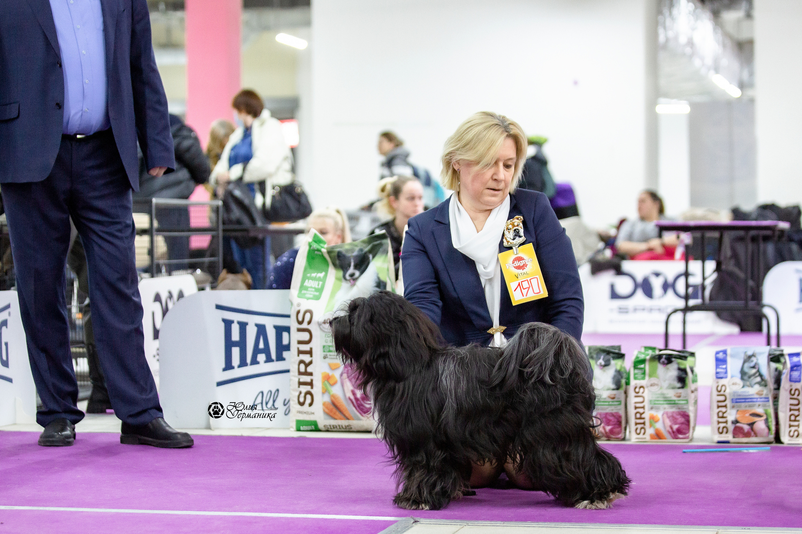 Чайна-Таун 29-30 января 2022. Фотограф-анималист Юлия Германика