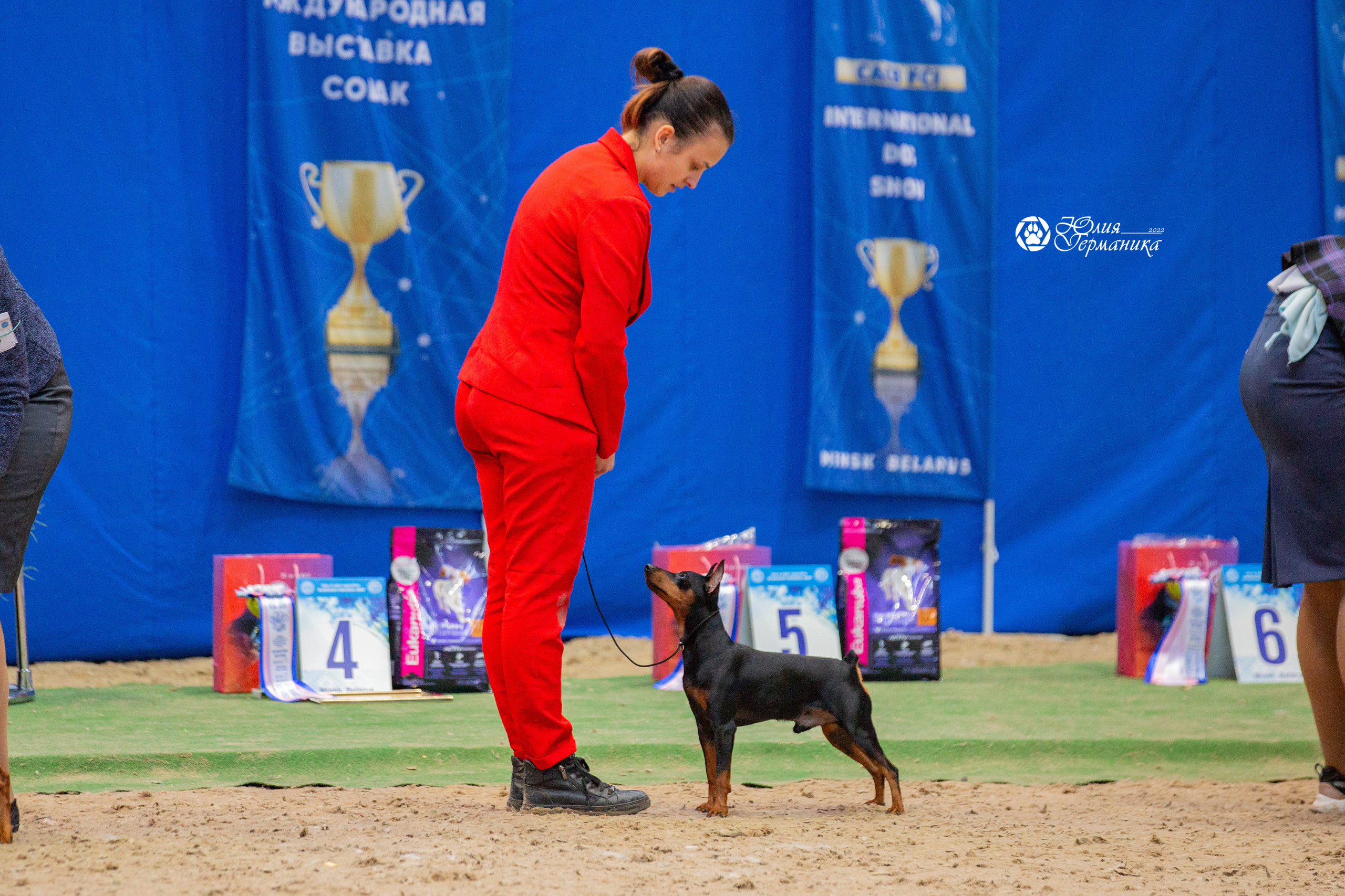 Минск 2хCACIB 5-6 марта 2022. Фотограф-анималист Юлия Германика