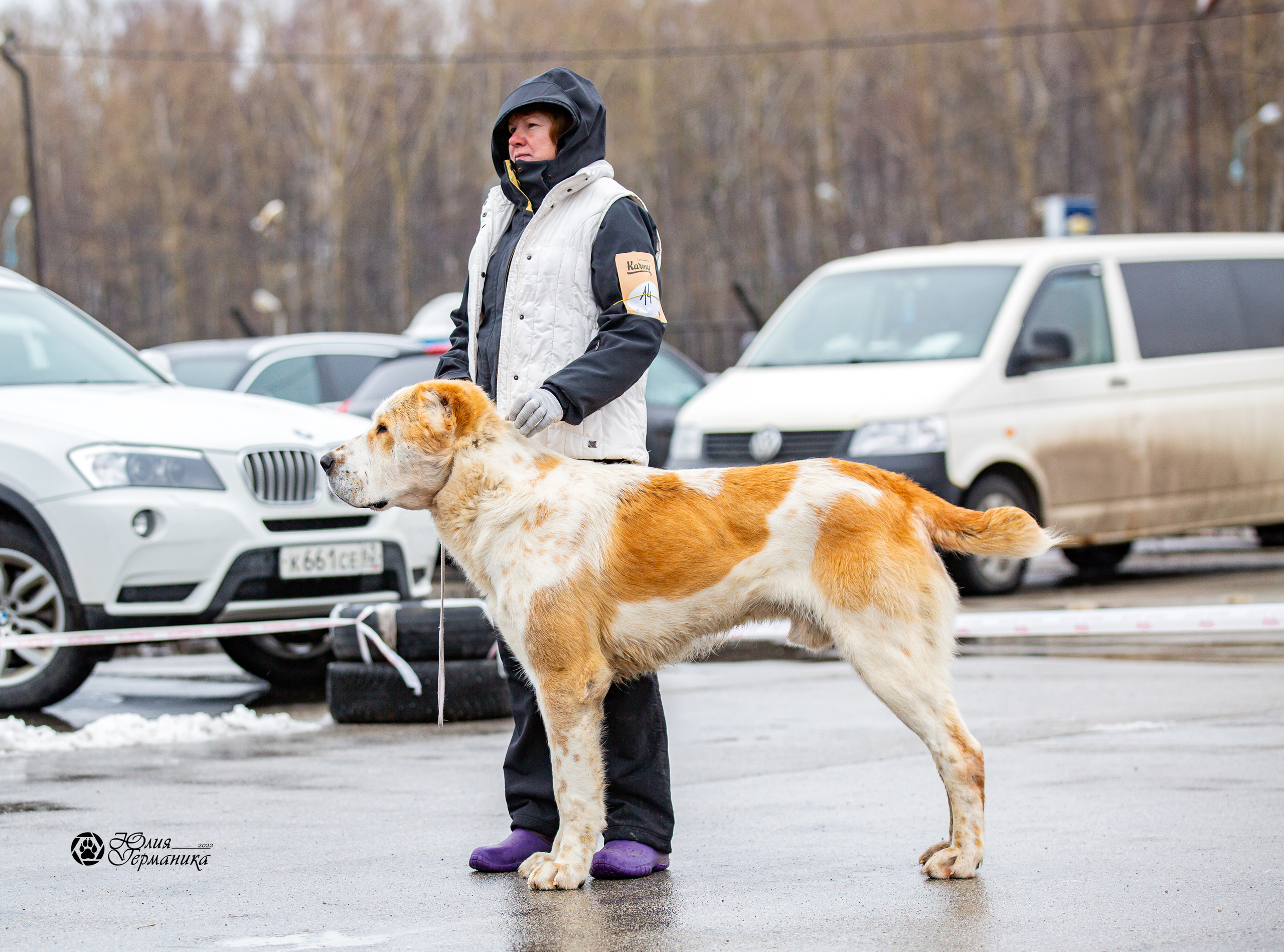 2хМОНО САО Рязань 02 апреля 2022. Фотограф-анималист Юлия Германика