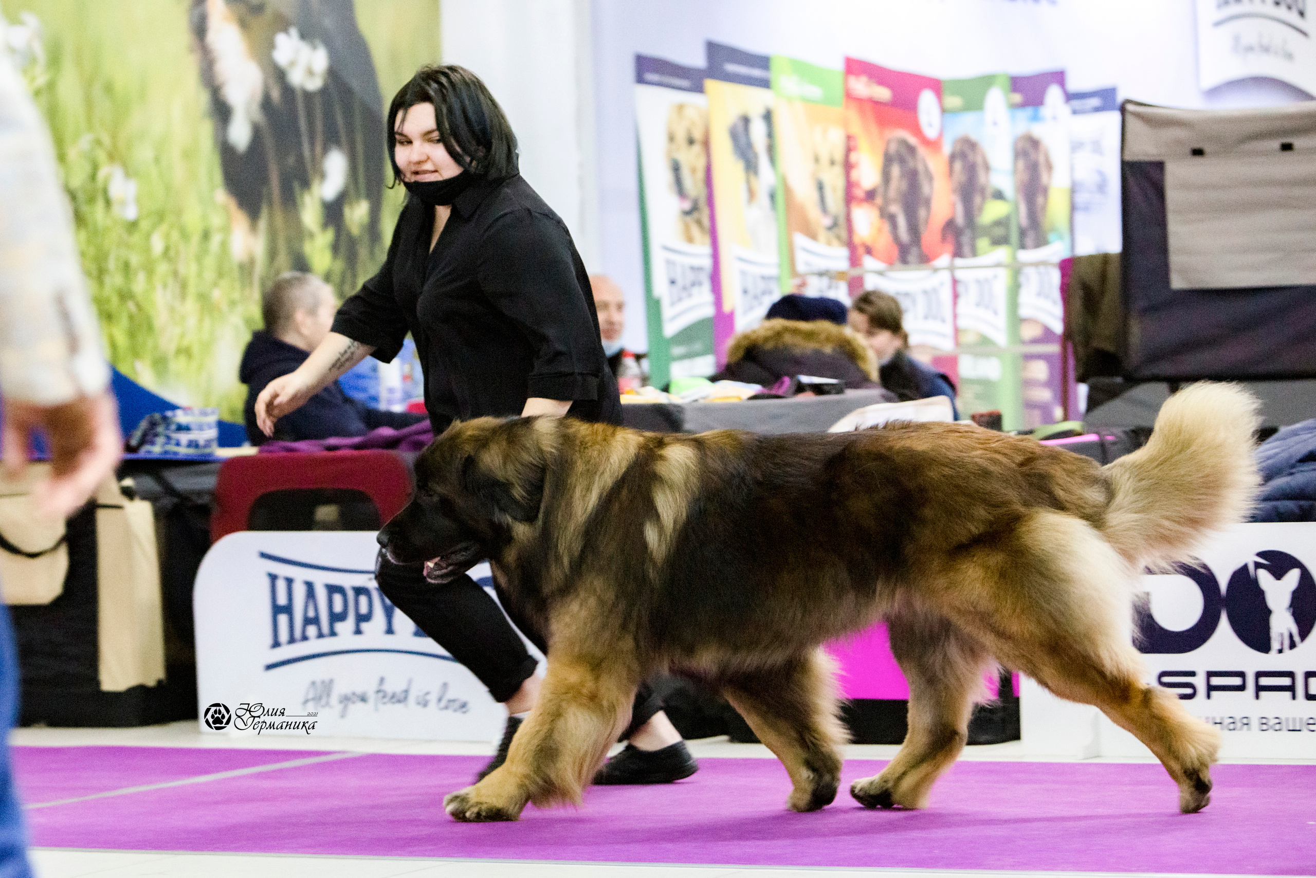 Чайна-Таун 18,26 и 29 декабря 2021. Фотограф-анималист Юлия Германика
