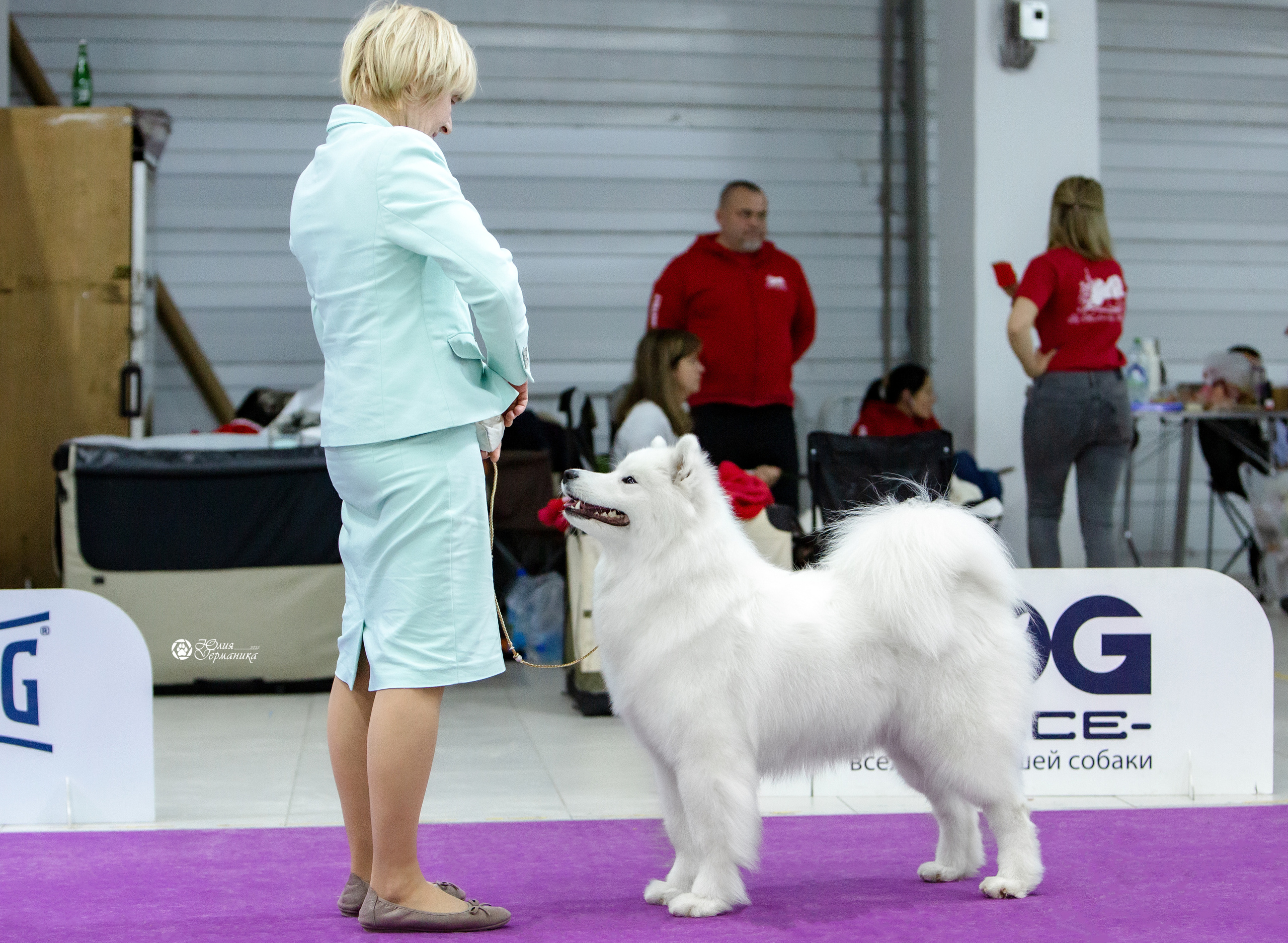 Чайна-Таун 18,26 и 29 декабря 2021. Фотограф-анималист Юлия Германика