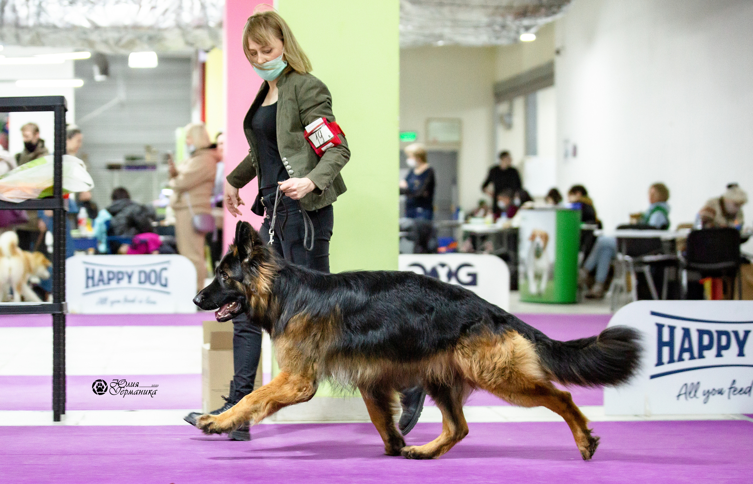 Чайна-Таун 29-30 января 2022. Фотограф-анималист Юлия Германика
