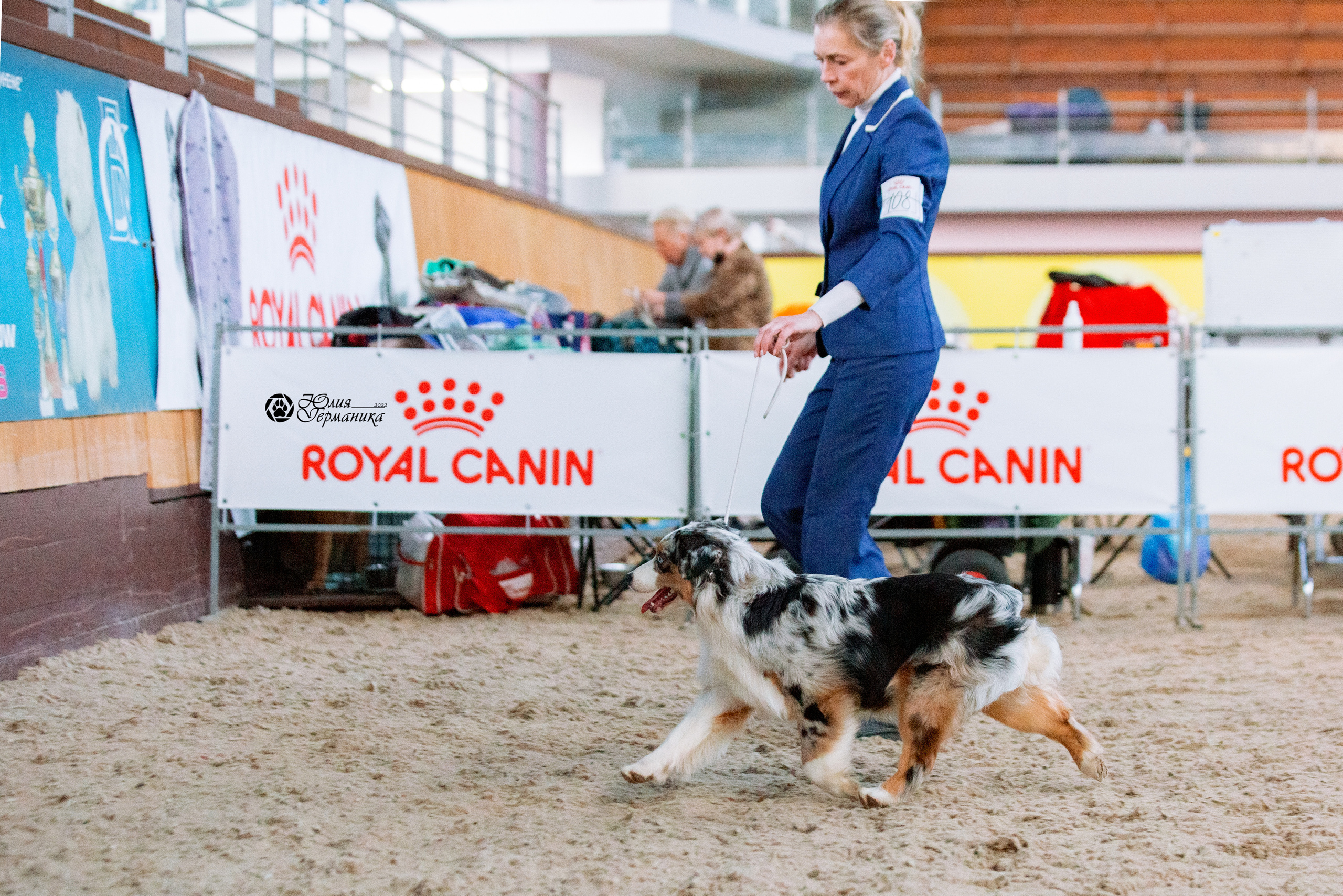 Минск 2хCACIB 5-6 марта 2022. Фотограф-анималист Юлия Германика