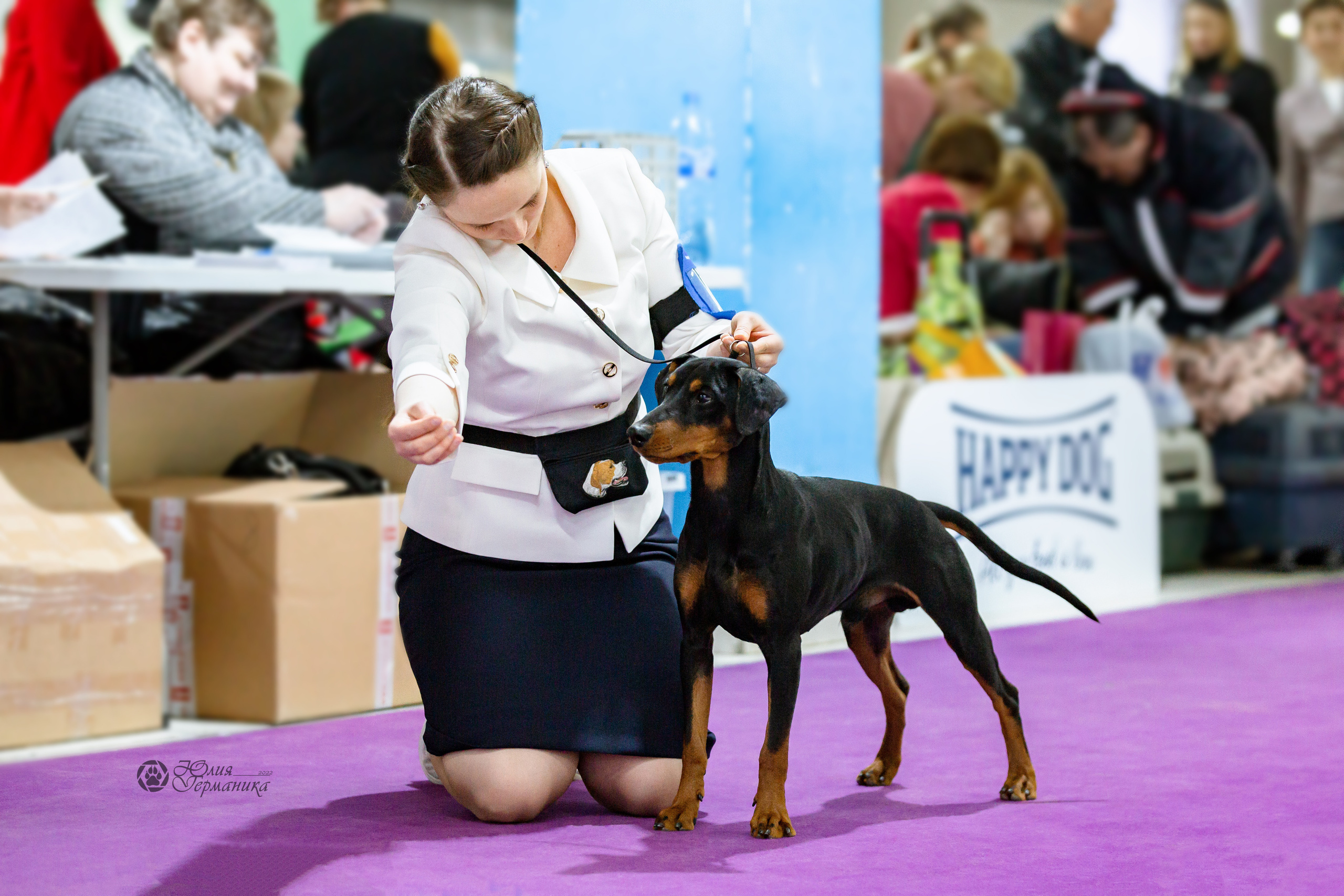 Чайна-Таун 24 и 27 марта 2022. Фотограф-анималист Юлия Германика