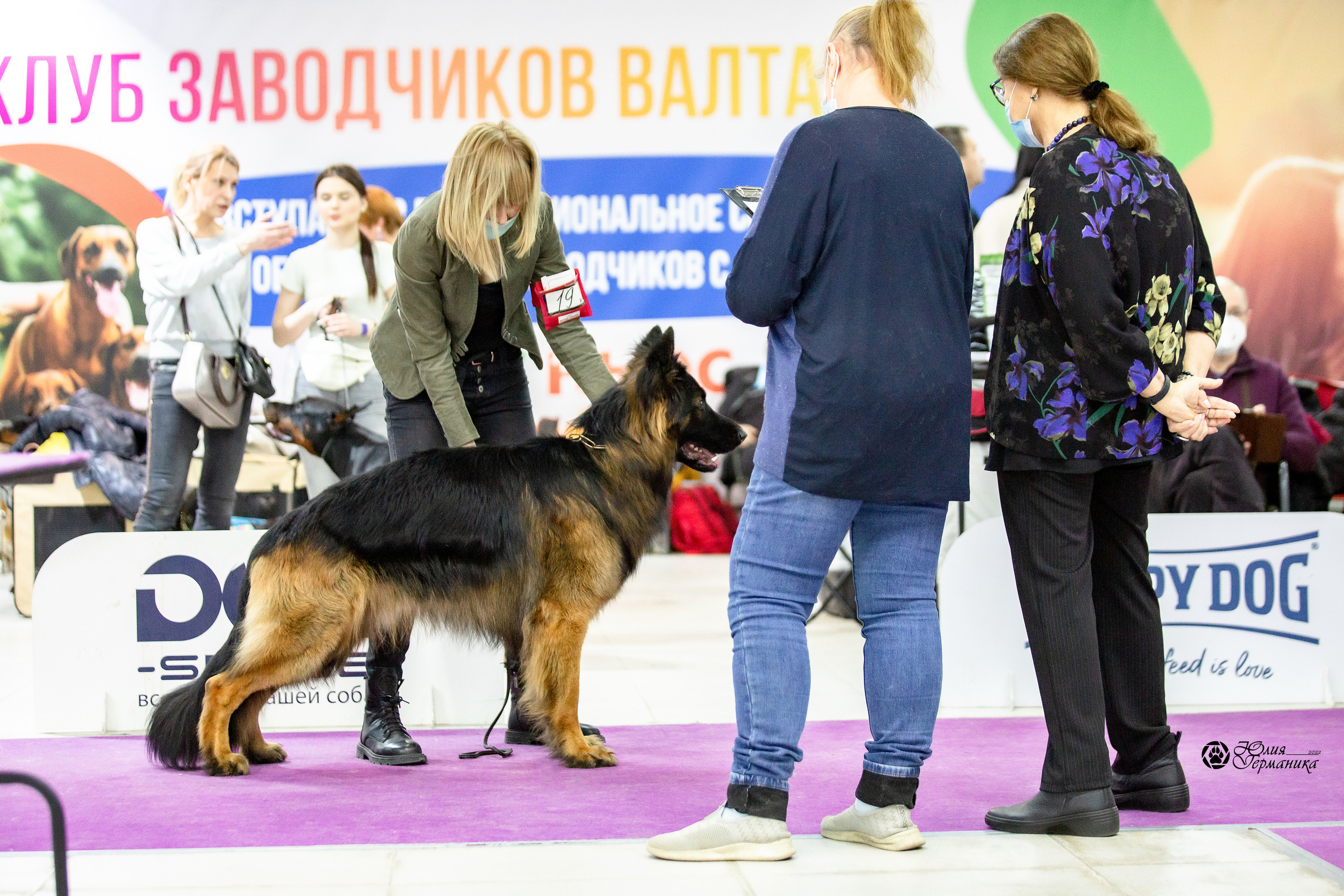Чайна-Таун 29-30 января 2022. Фотограф-анималист Юлия Германика