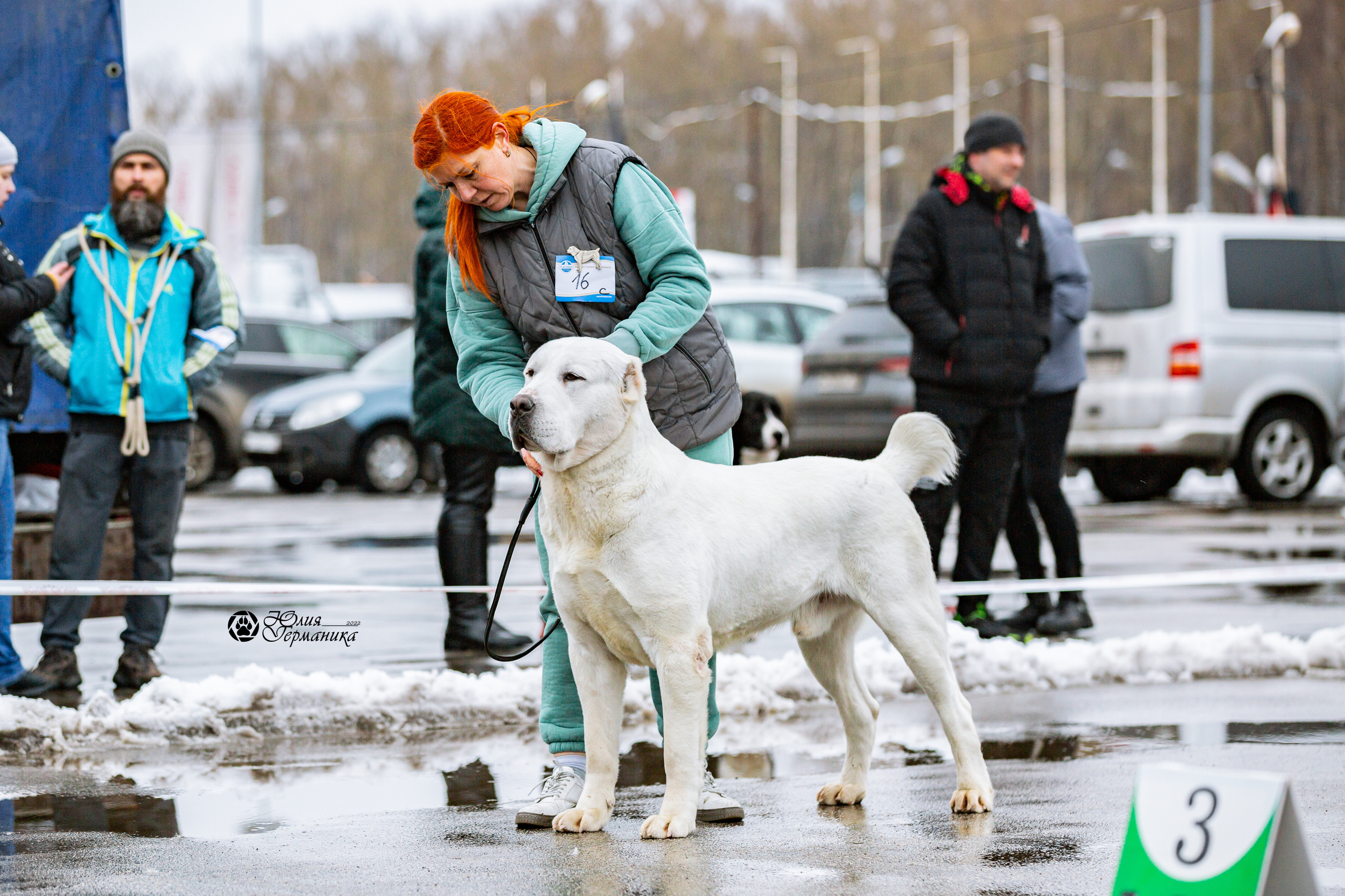 2хМОНО САО Рязань 02 апреля 2022. Фотограф-анималист Юлия Германика