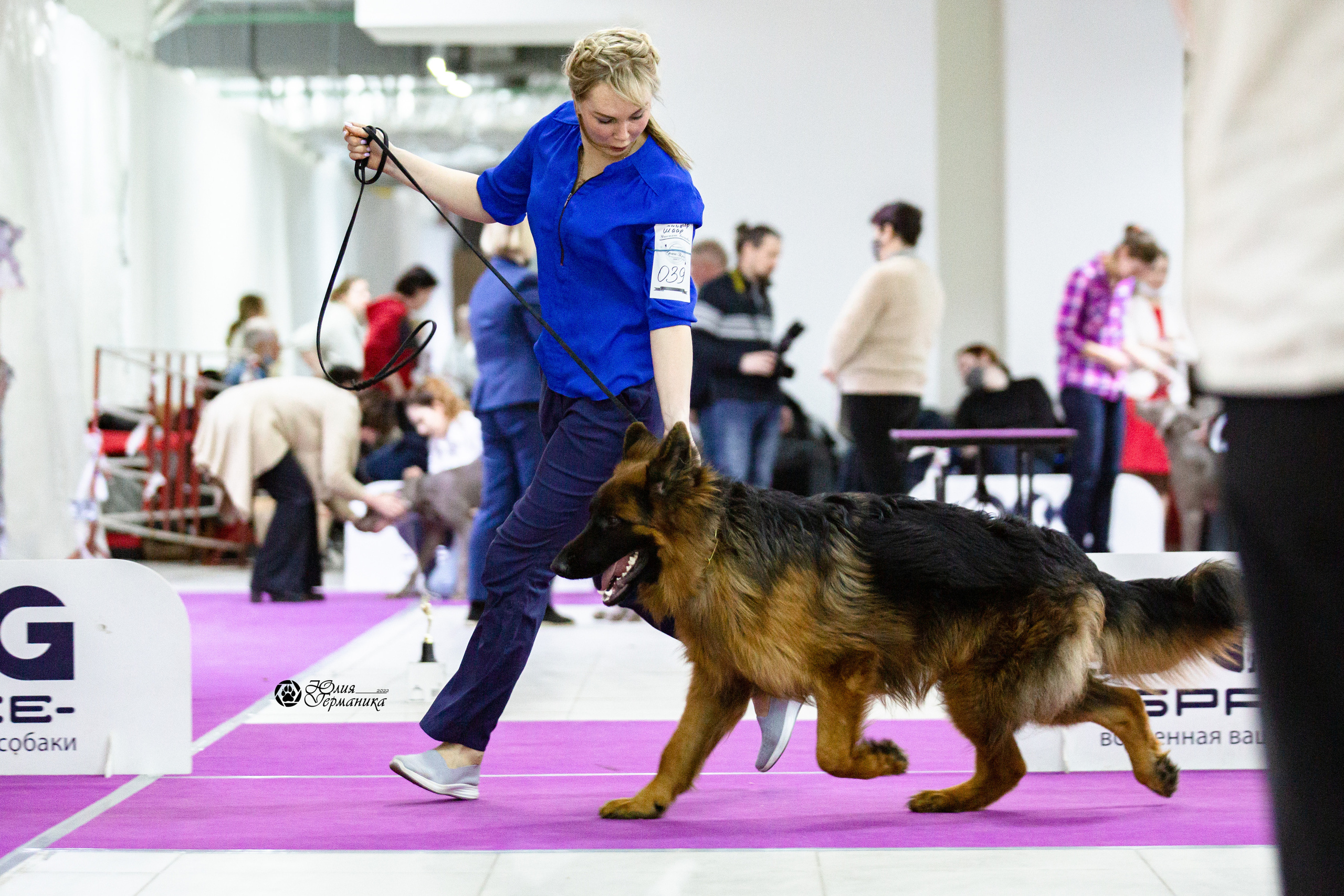 Чайна-Таун 12-13 февраля 2022. Фотограф-анималист Юлия Германика