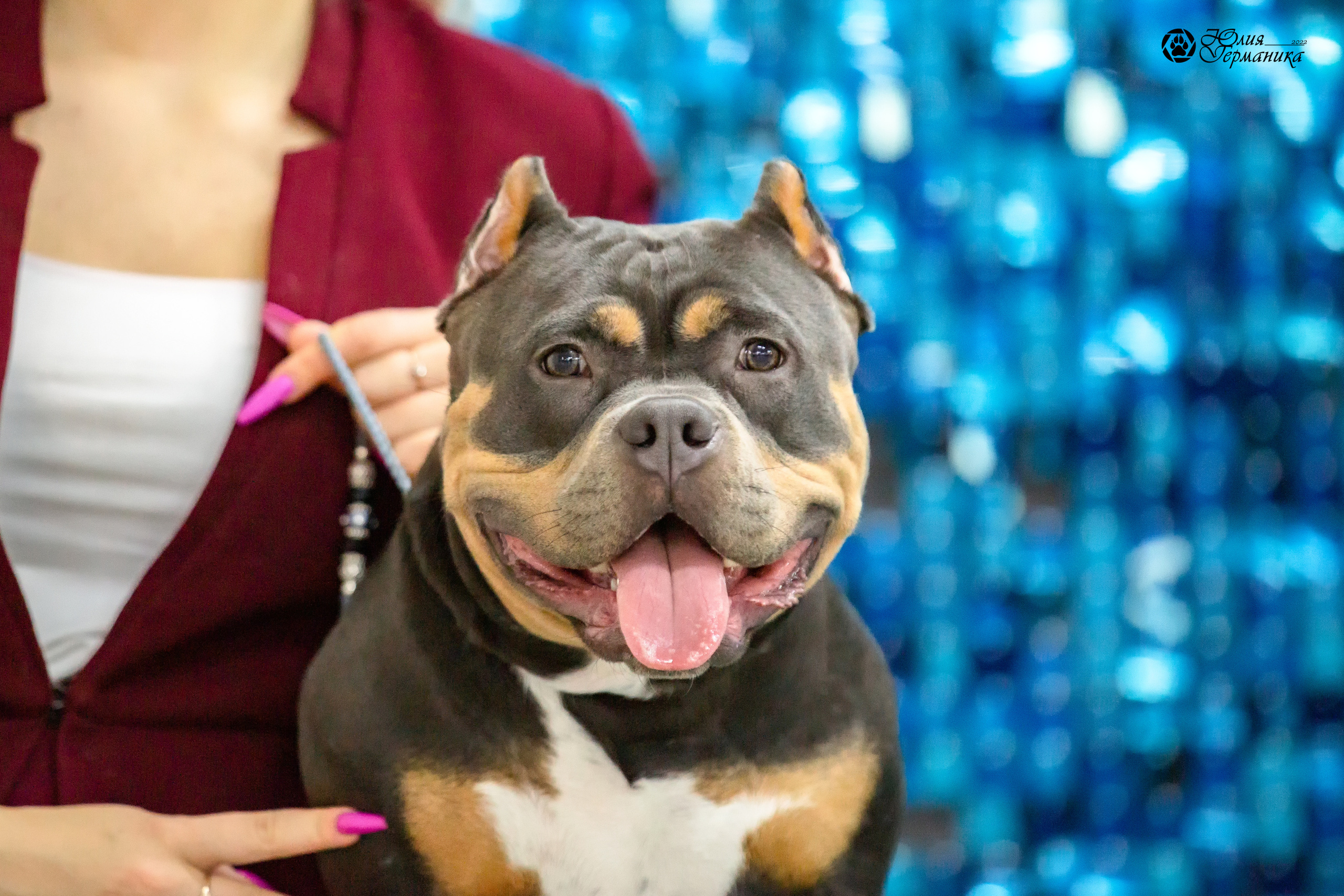 Чайна-Таун 27 февраля 2022. Фотограф-анималист Юлия Германика