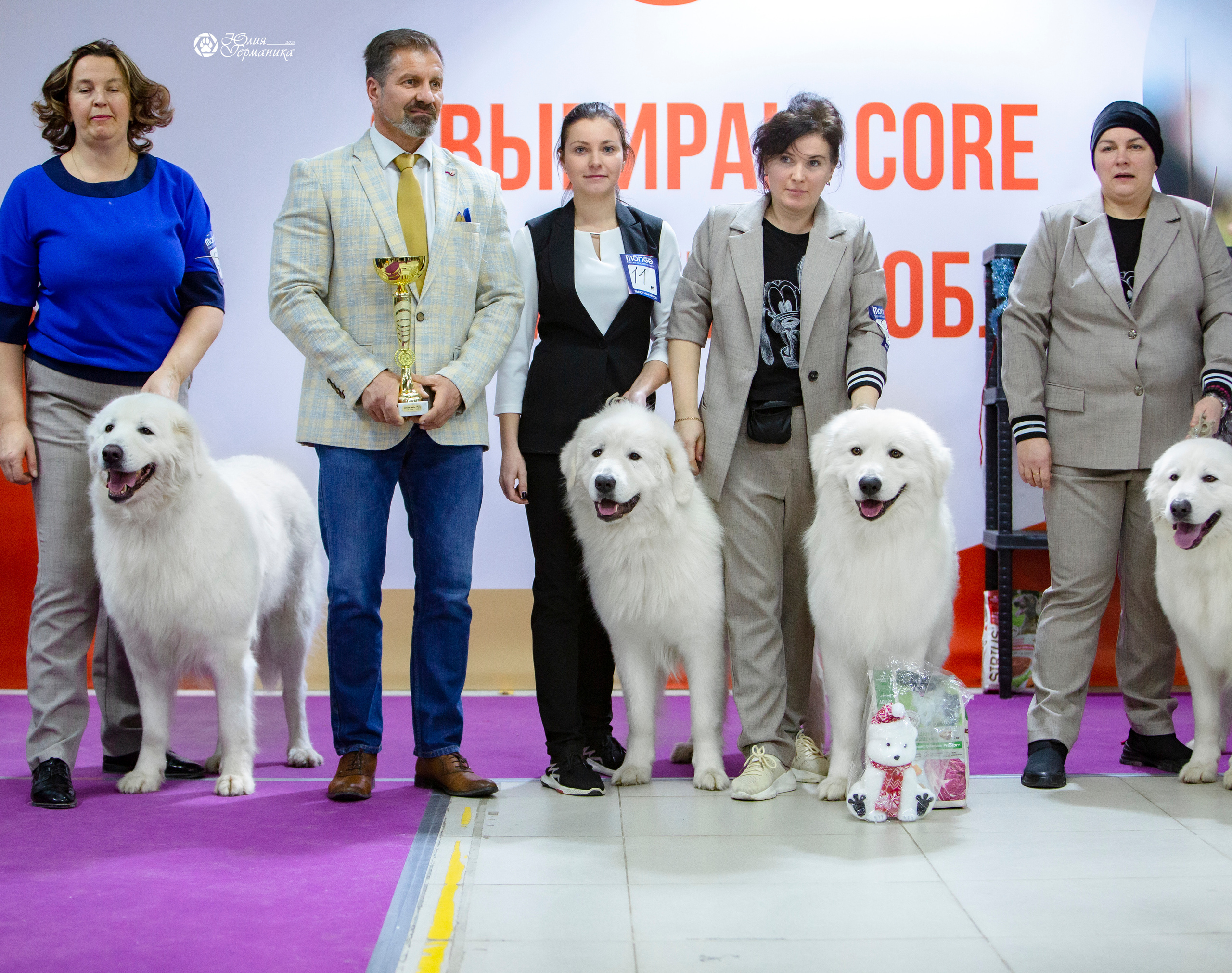 Чайна-Таун 18,26 и 29 декабря 2021. Фотограф-анималист Юлия Германика