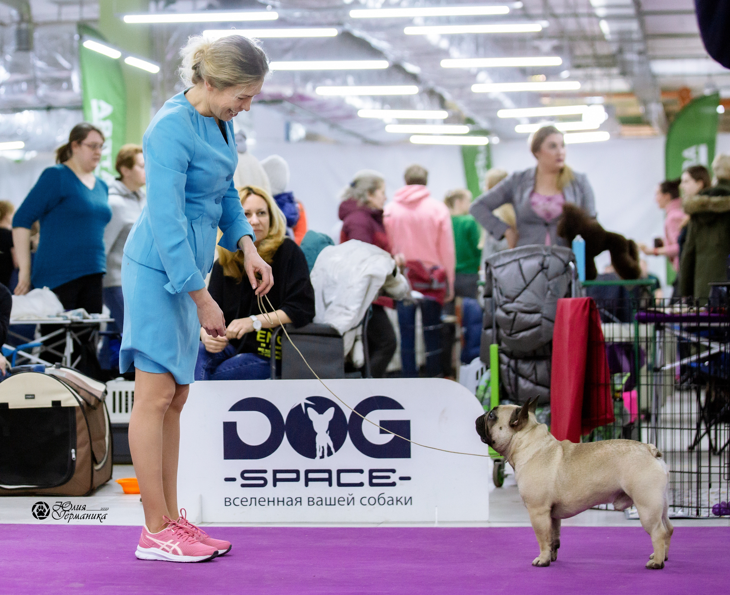 Чайна-Таун 27 февраля 2022. Фотограф-анималист Юлия Германика