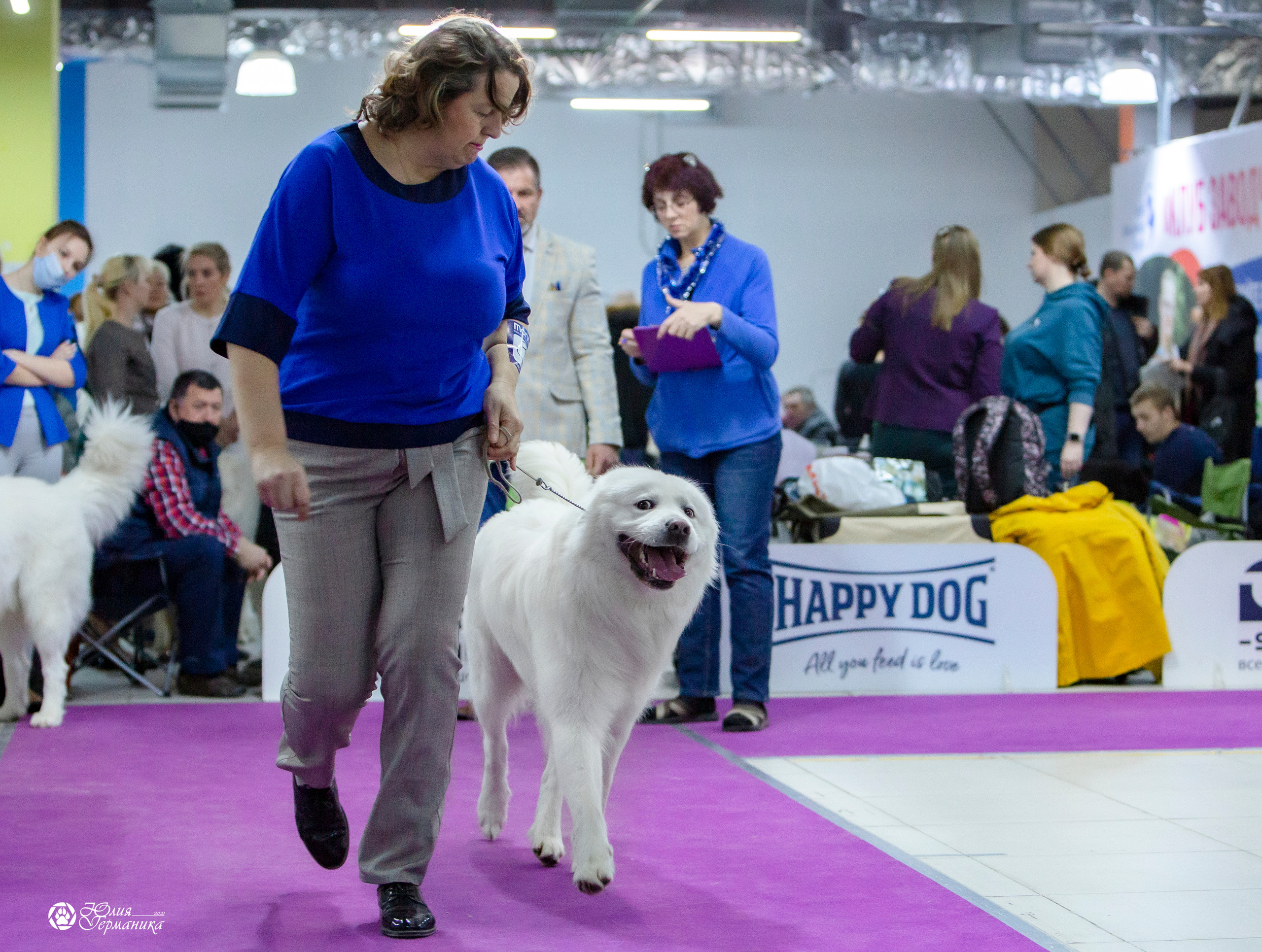 Чайна-Таун 18,26 и 29 декабря 2021. Фотограф-анималист Юлия Германика