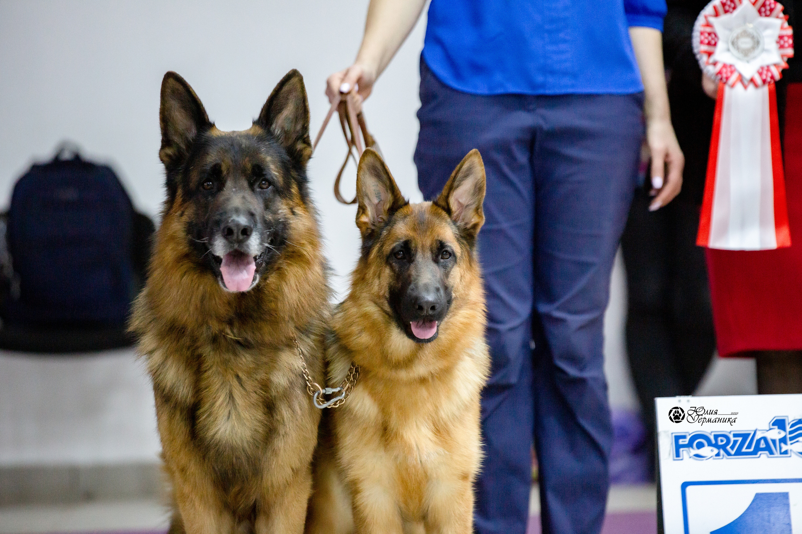 Чайна-Таун 12-13 февраля 2022. Фотограф-анималист Юлия Германика