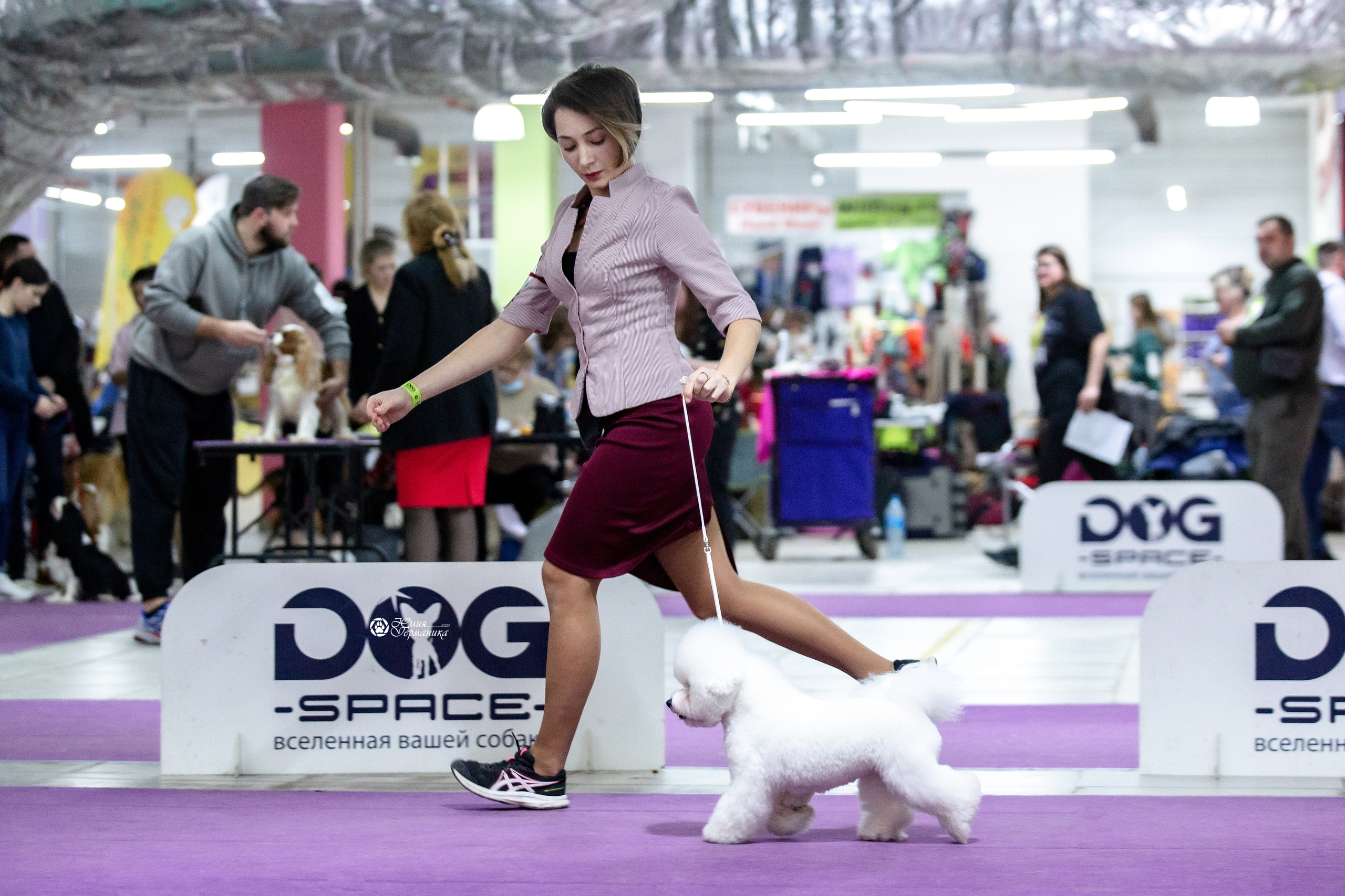 Чайна-Таун 12-13 февраля 2022. Фотограф-анималист Юлия Германика