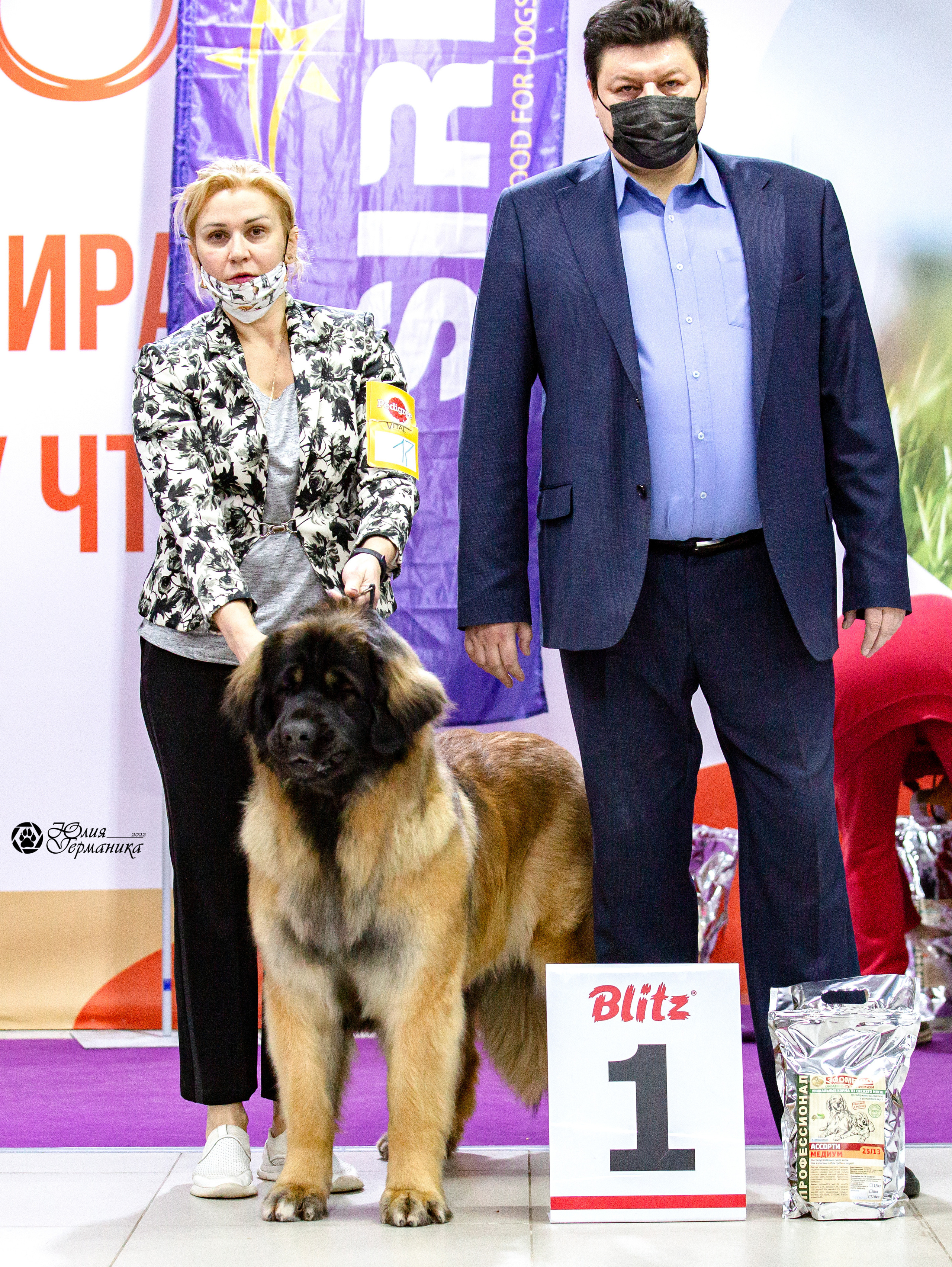 Чайна-Таун 29-30 января 2022. Фотограф-анималист Юлия Германика