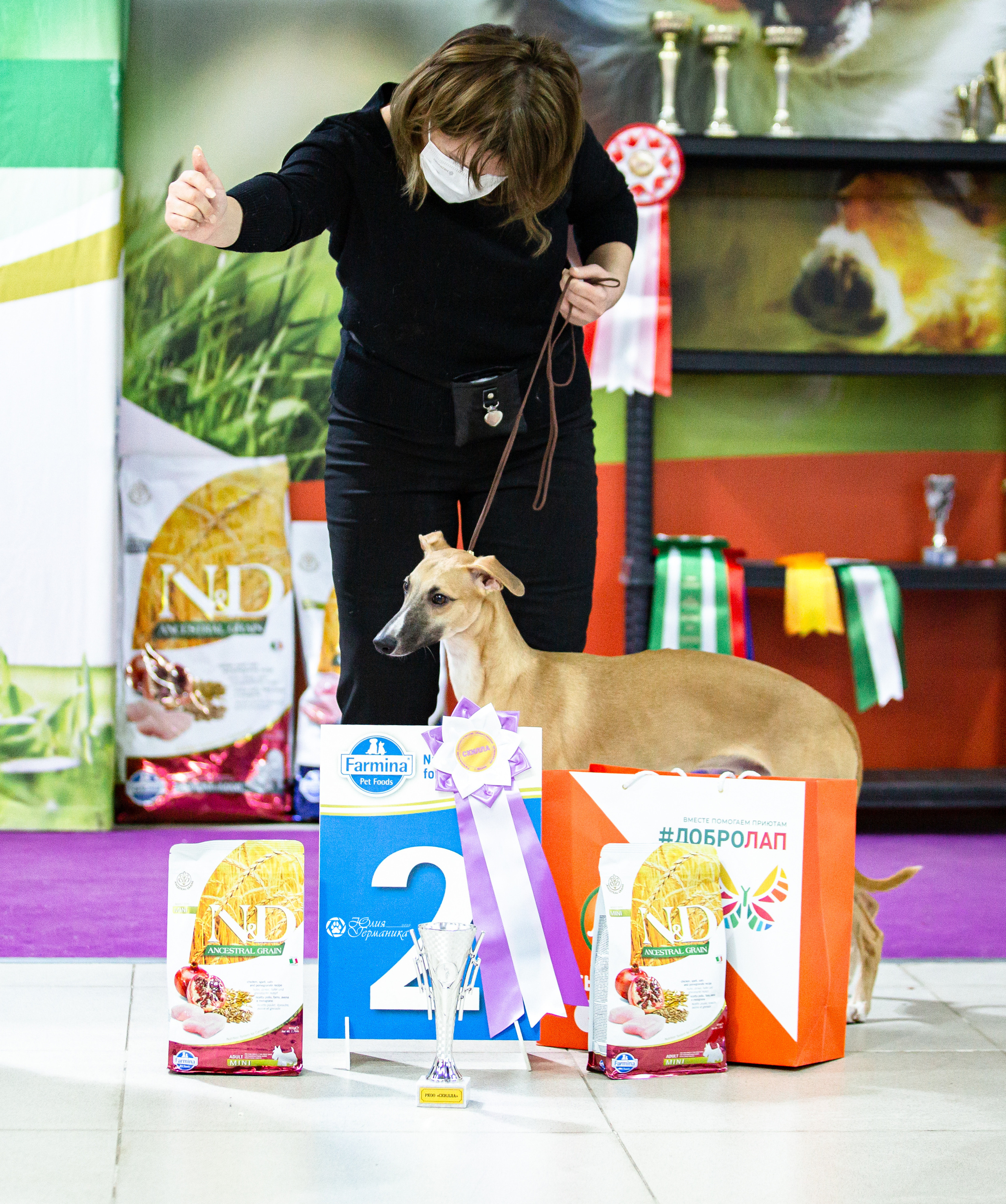 Чайна-Таун 29-30 января 2022. Фотограф-анималист Юлия Германика