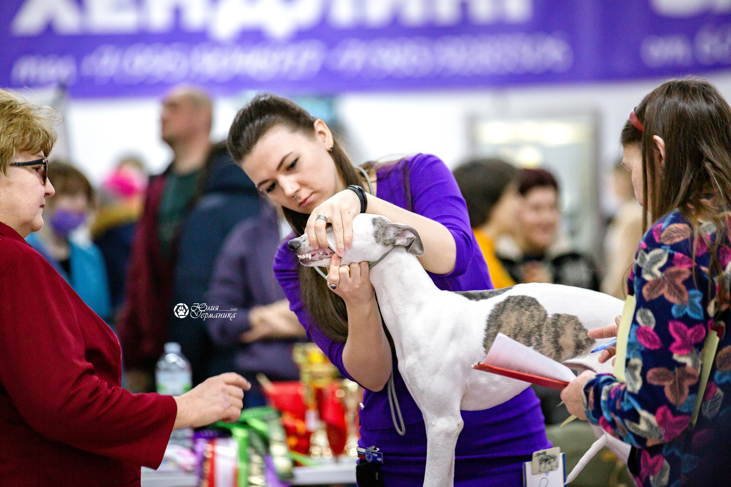 Чайна-Таун 13 и 20 марта 2022. Фотограф-анималист Юлия Германика